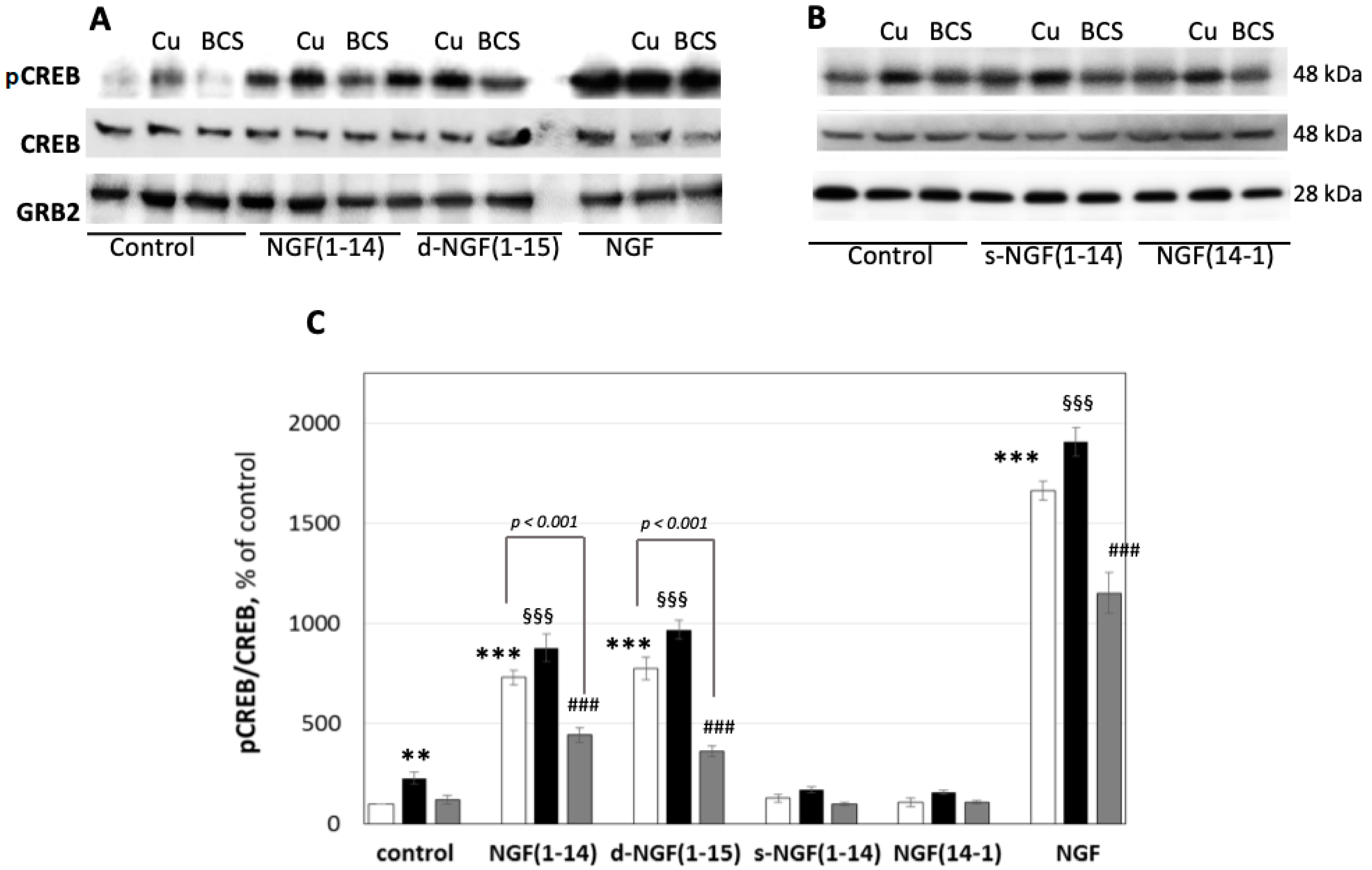 Cells 08 00301 g008 Cells 08 00301 g008