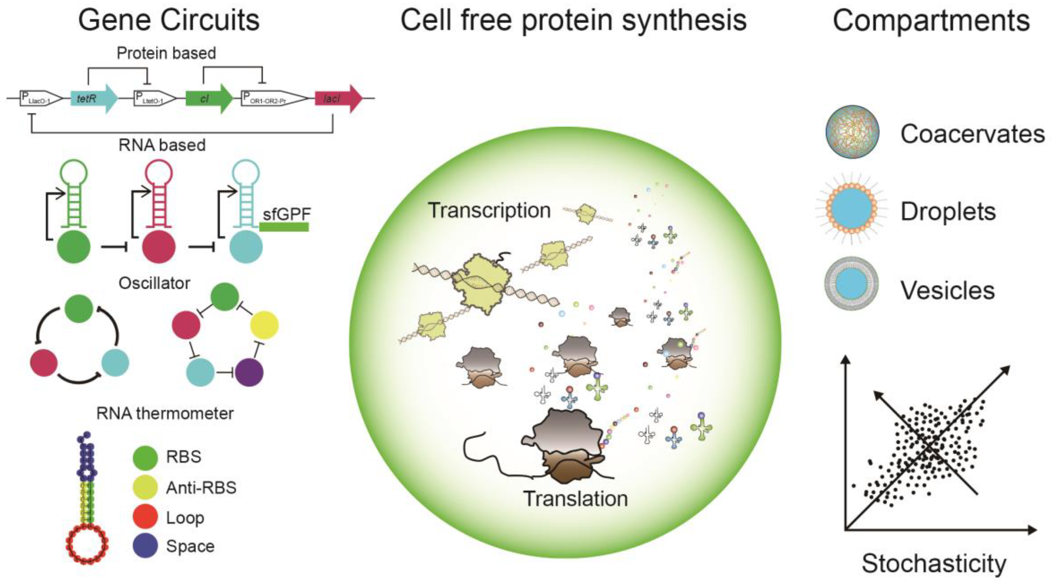 Cells 08 00315 g001