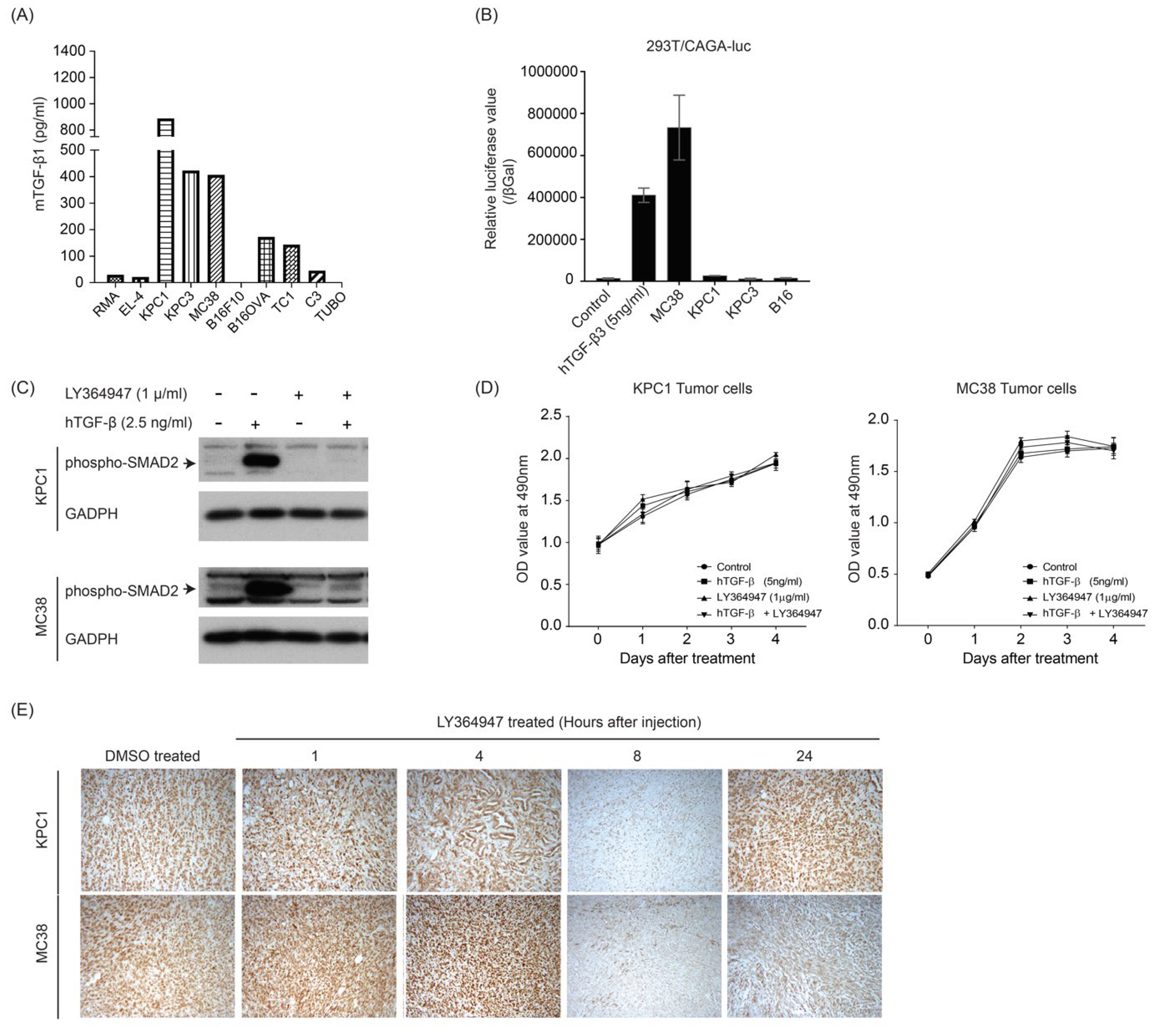 Cells 08 00320 g001 Cells 08 00320 g001