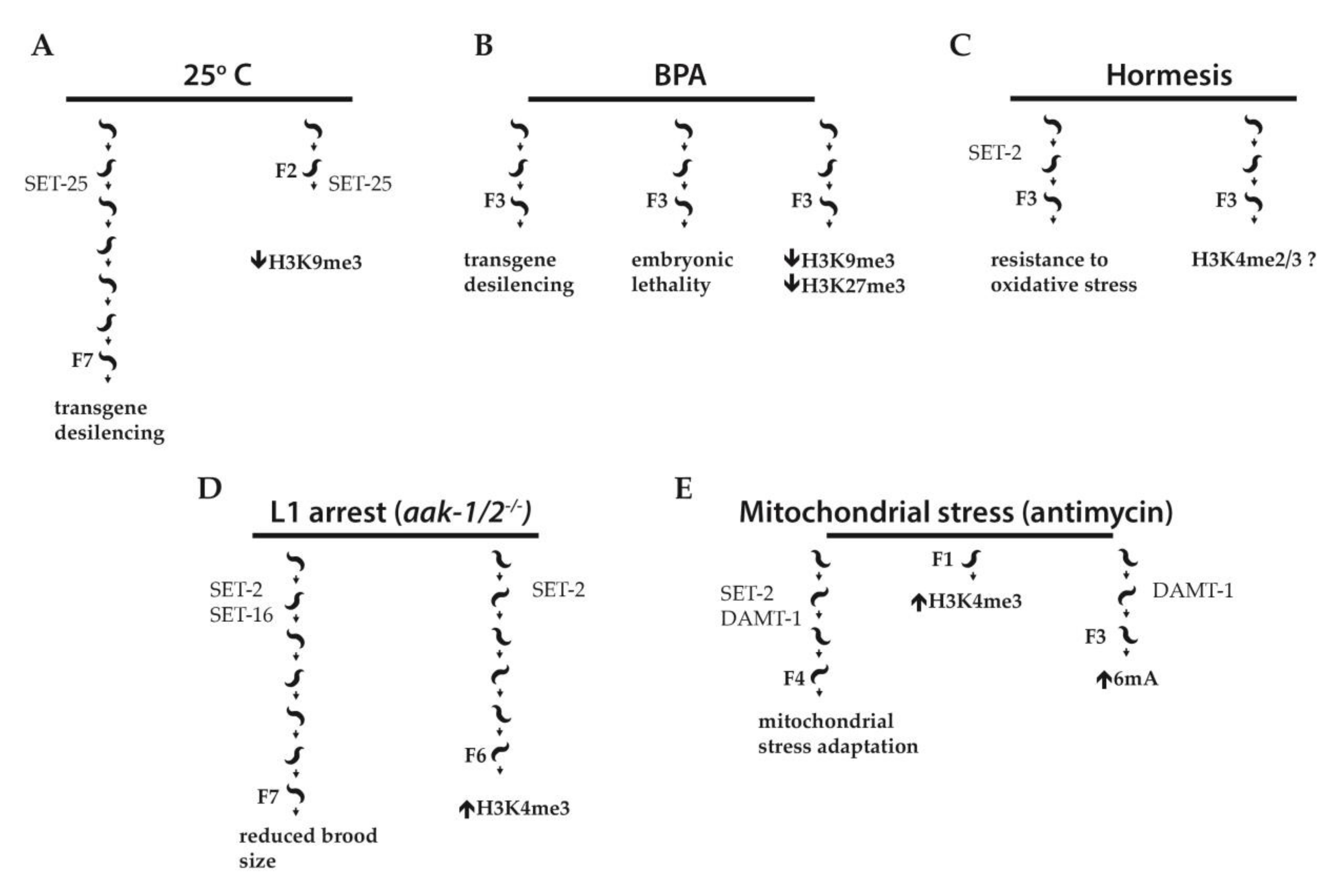 Cells 08 00339 g002