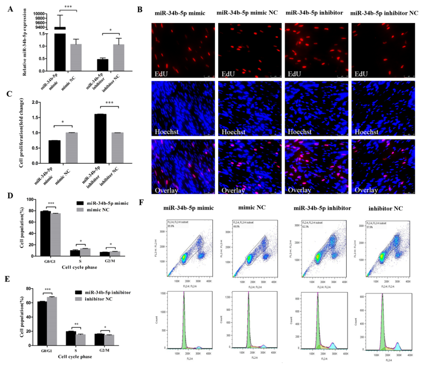 Cells 08 00360 g001 Cells 08 00360 g001