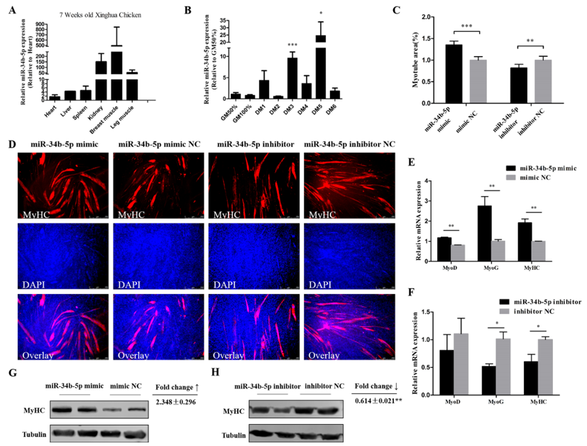 Cells 08 00360 g002 Cells 08 00360 g002