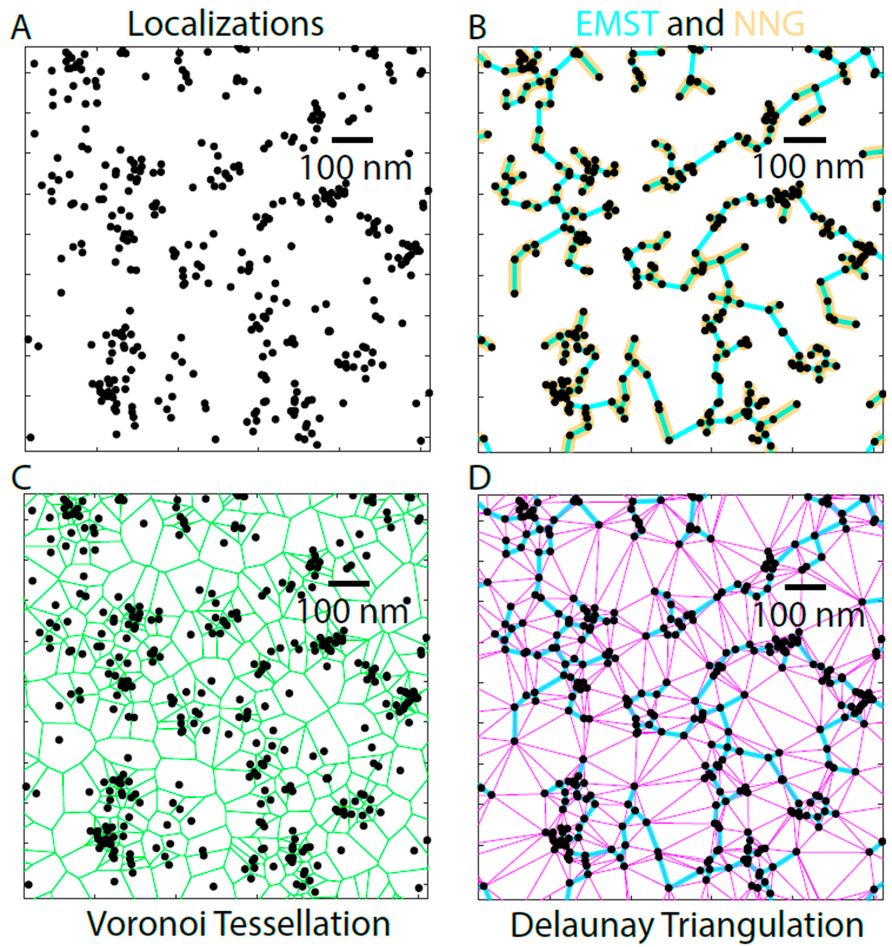 Cells 08 00361 g007 Cells 08 00361 g007