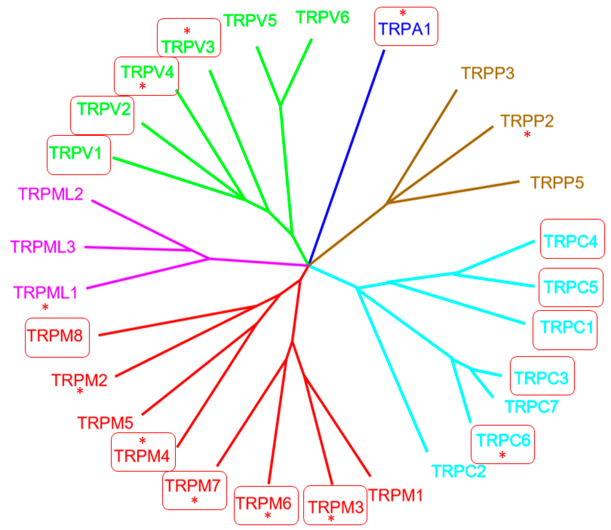 Cells 08 00413 g001