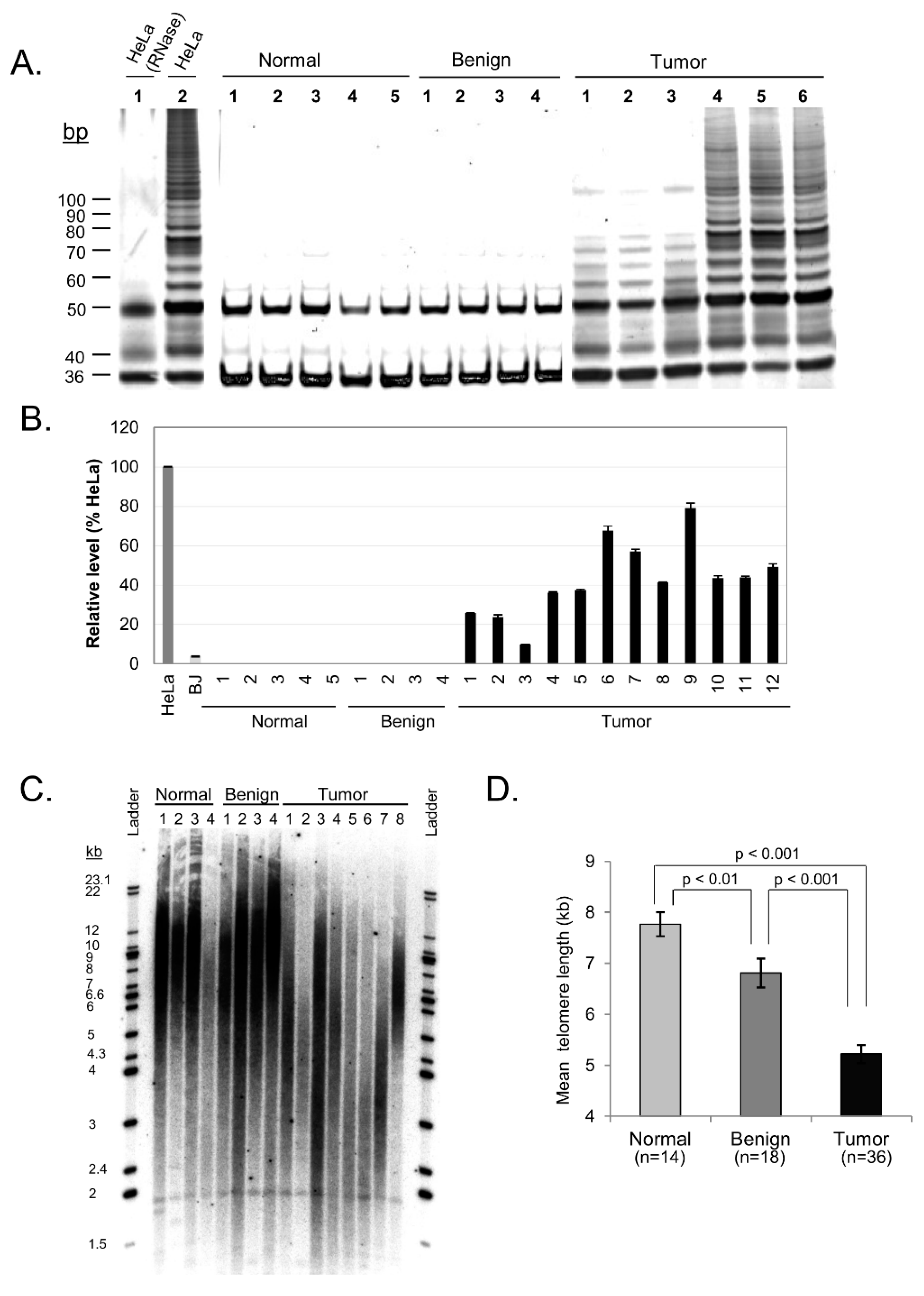 Cells 08 00414 g003 Cells 08 00414 g003
