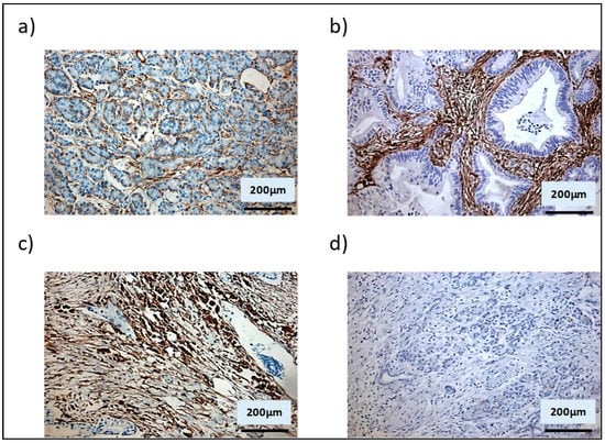 Cells 08 00424 g0a2 550