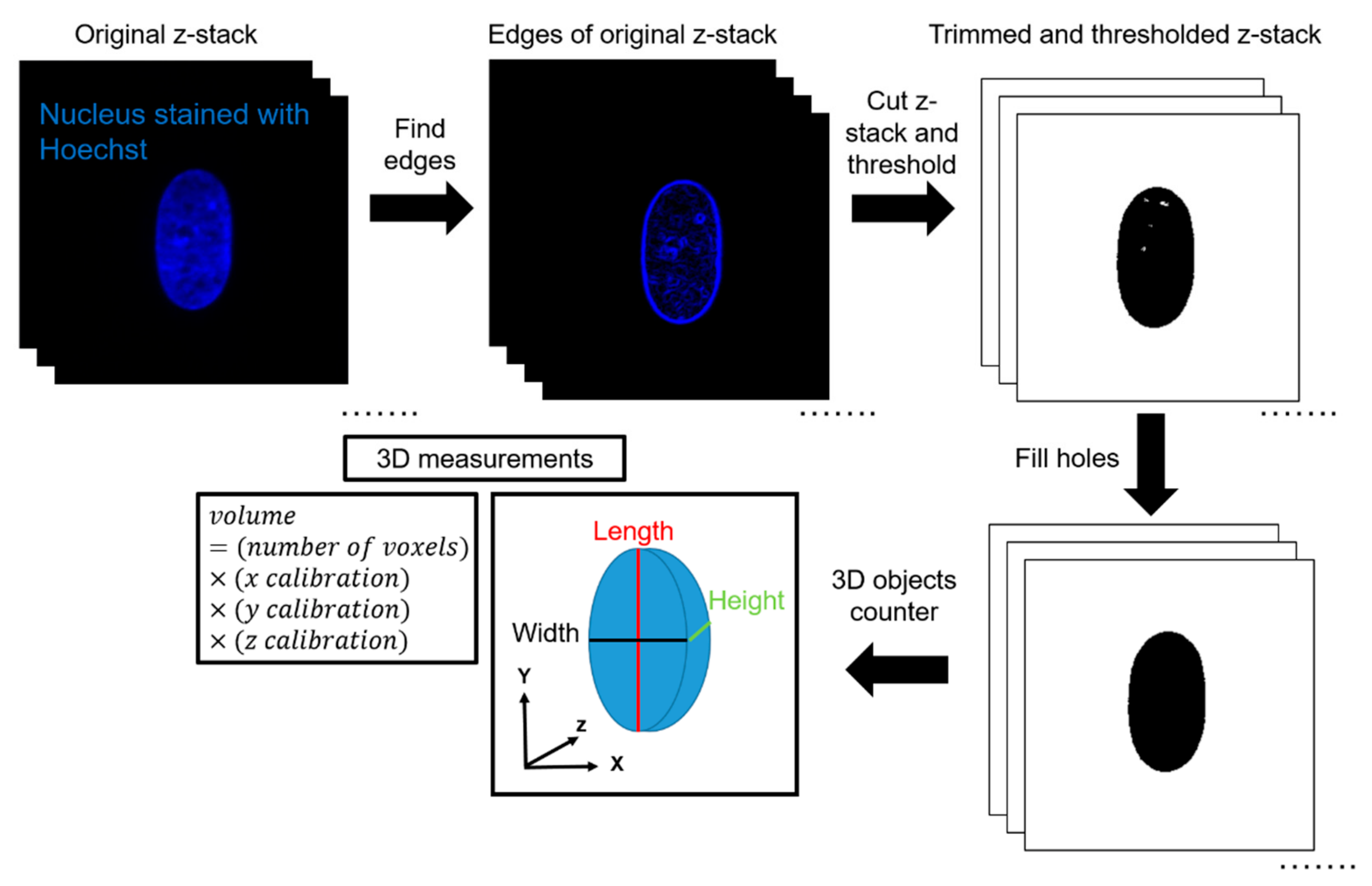 Cells 08 00427 g002 Cells 08 00427 g002