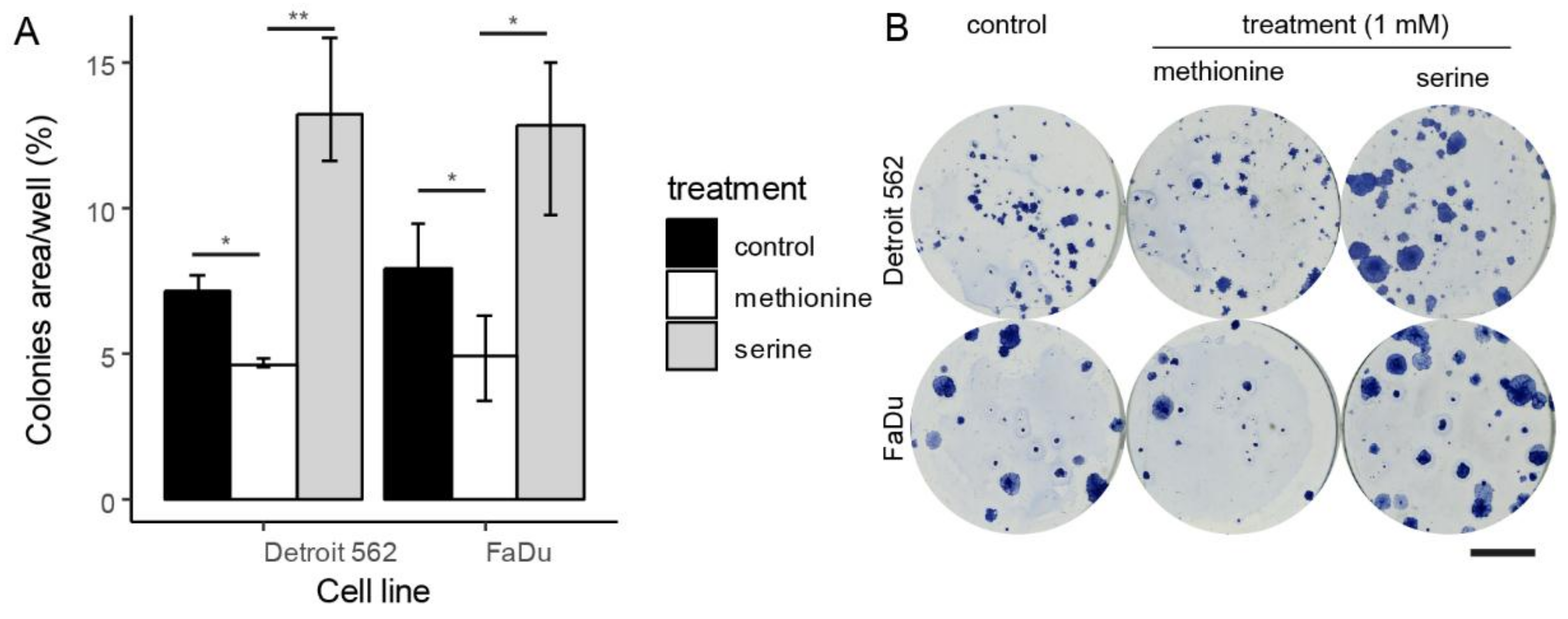 Cells 08 00428 g002 Cells 08 00428 g002