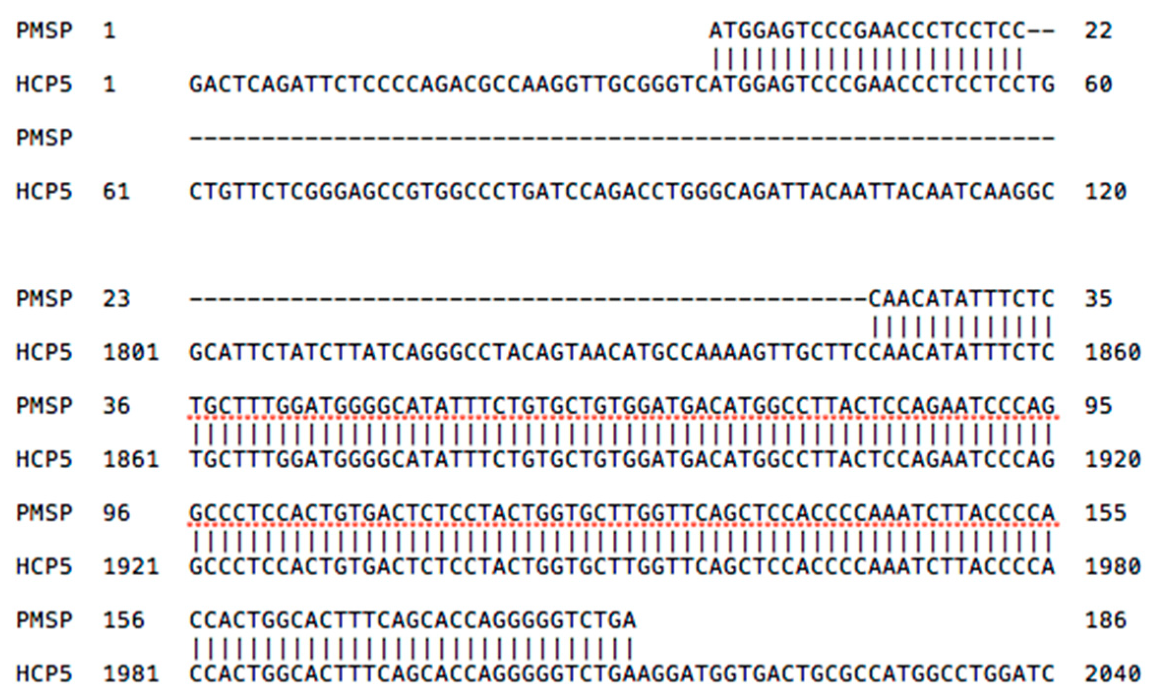 Cells 08 00480 g002