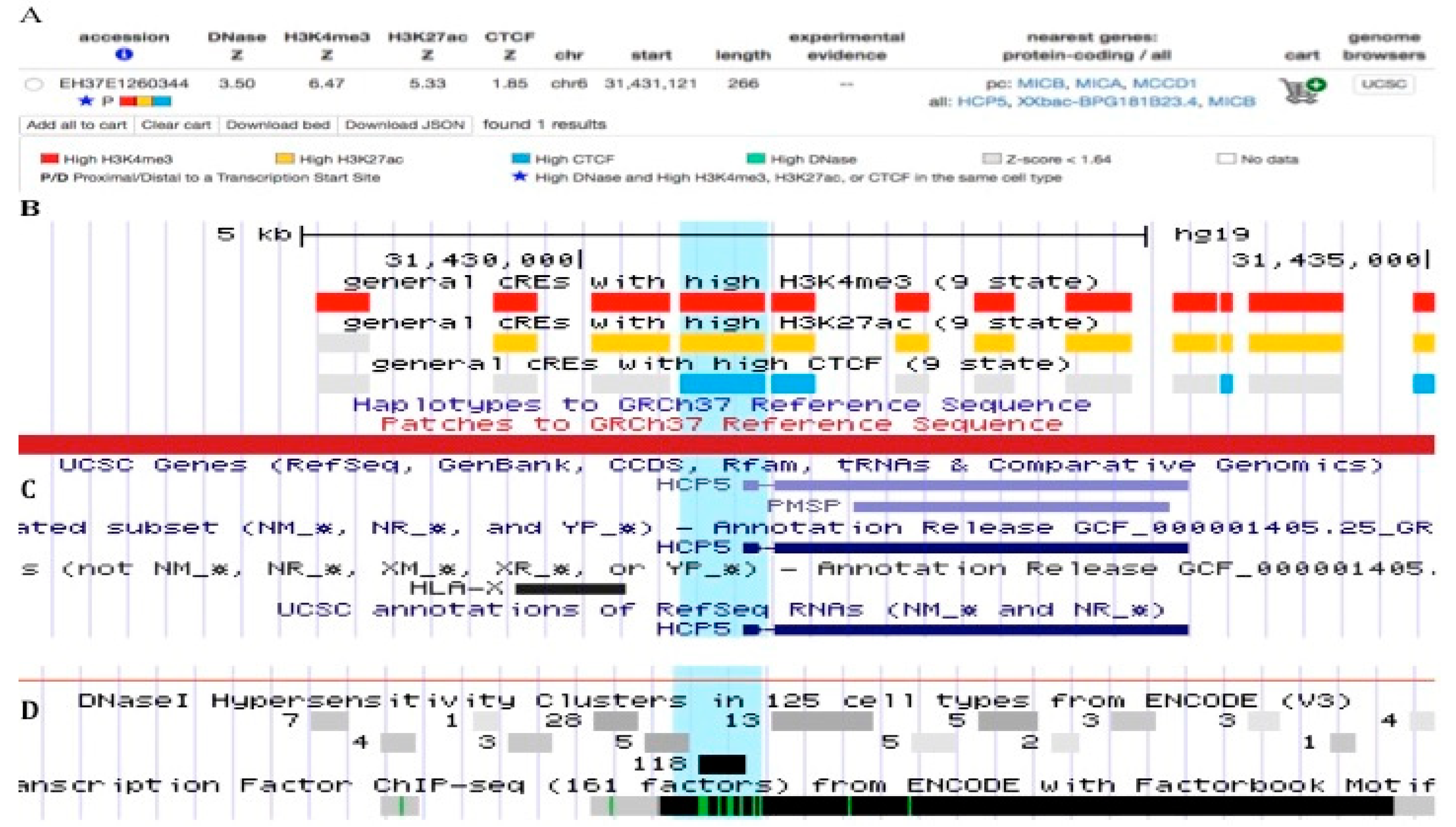 Cells 08 00480 g004