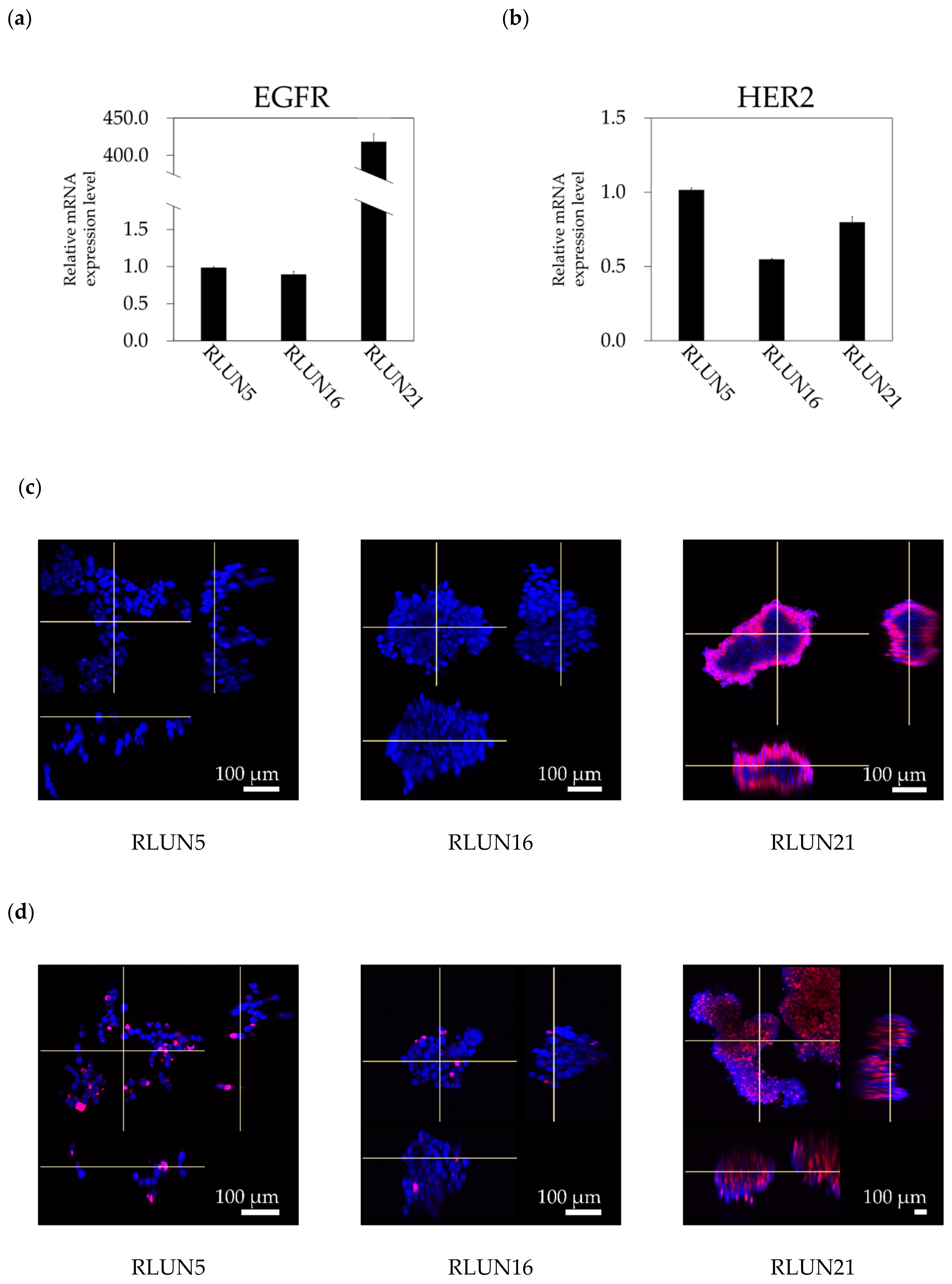 Cells 08 00481 g002a