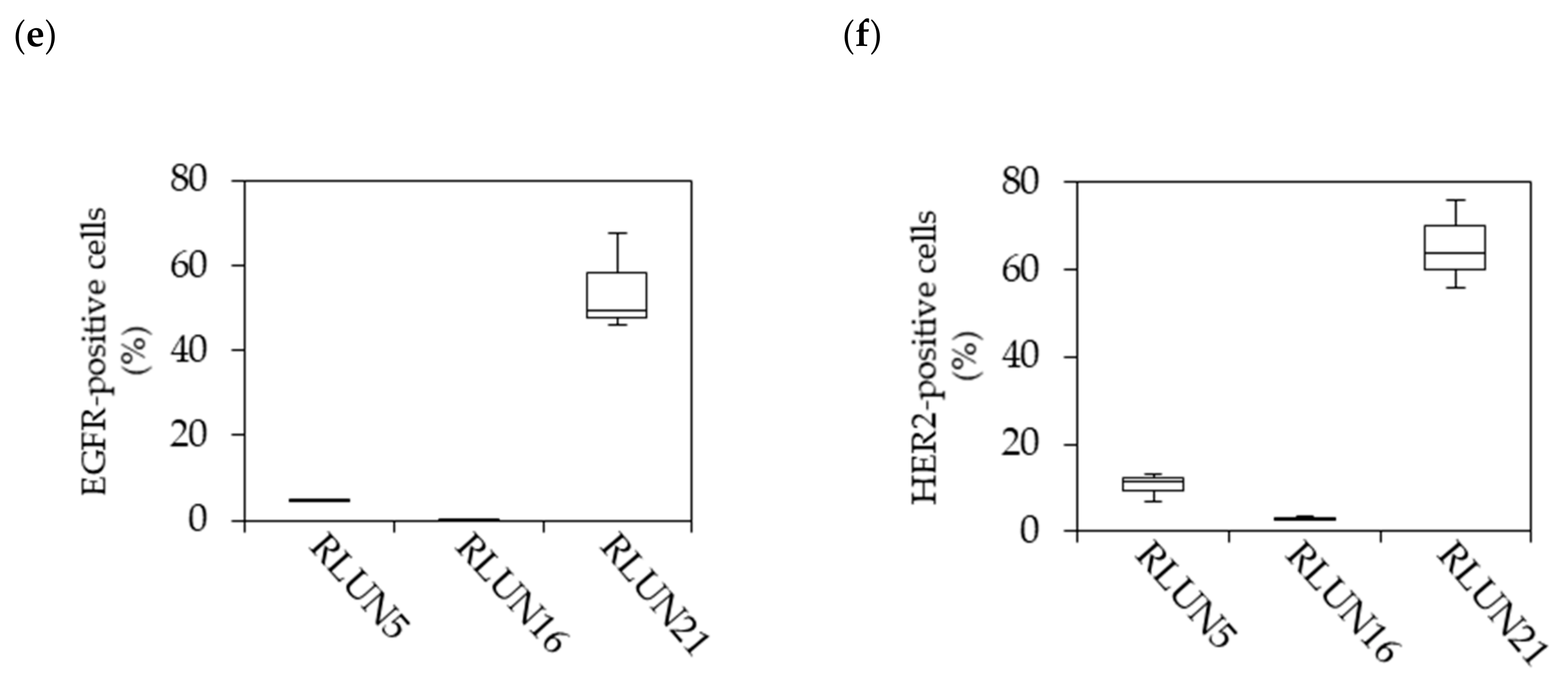 Cells 08 00481 g002b