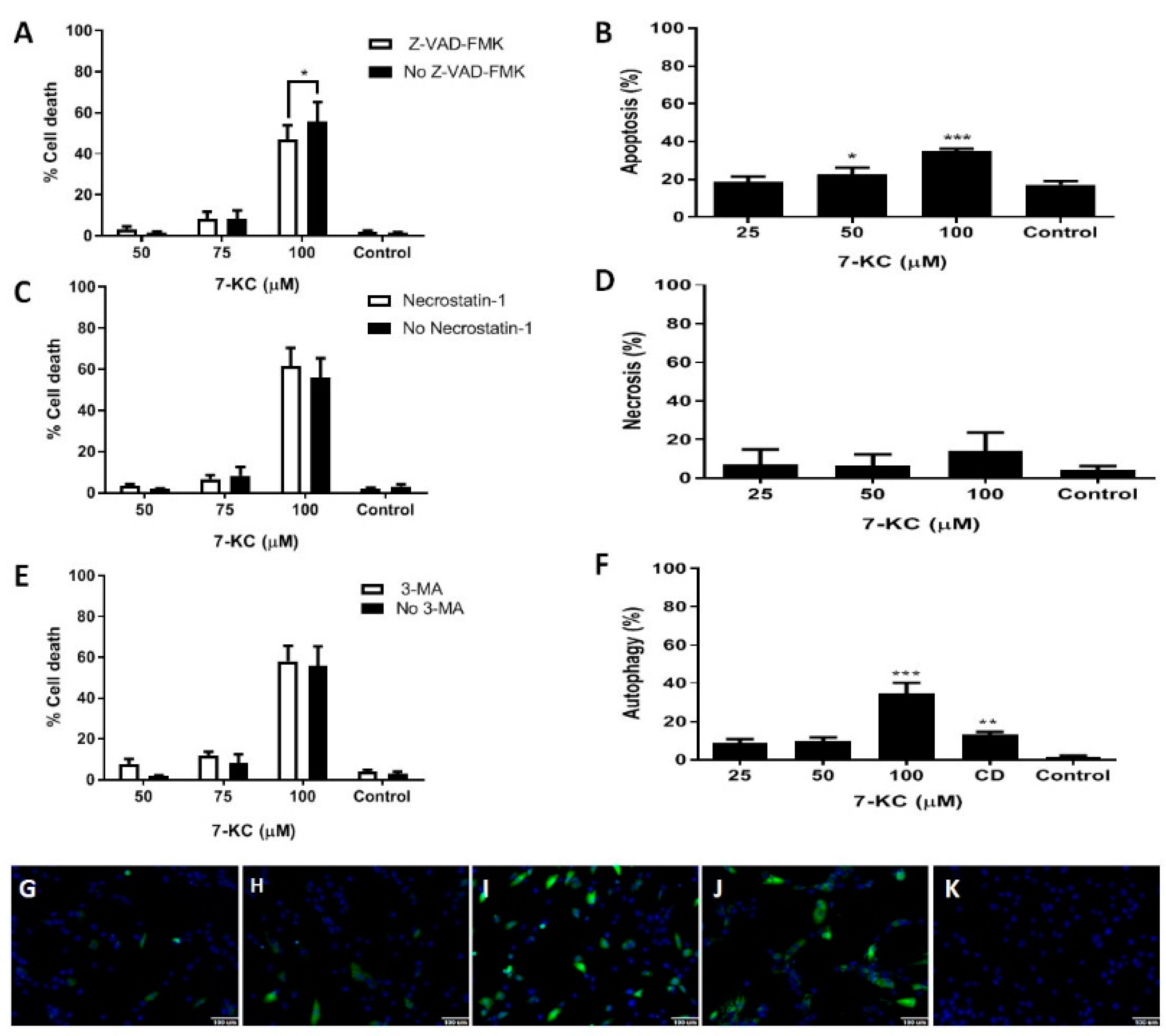 Cells 08 00482 g001 Cells 08 00482 g001