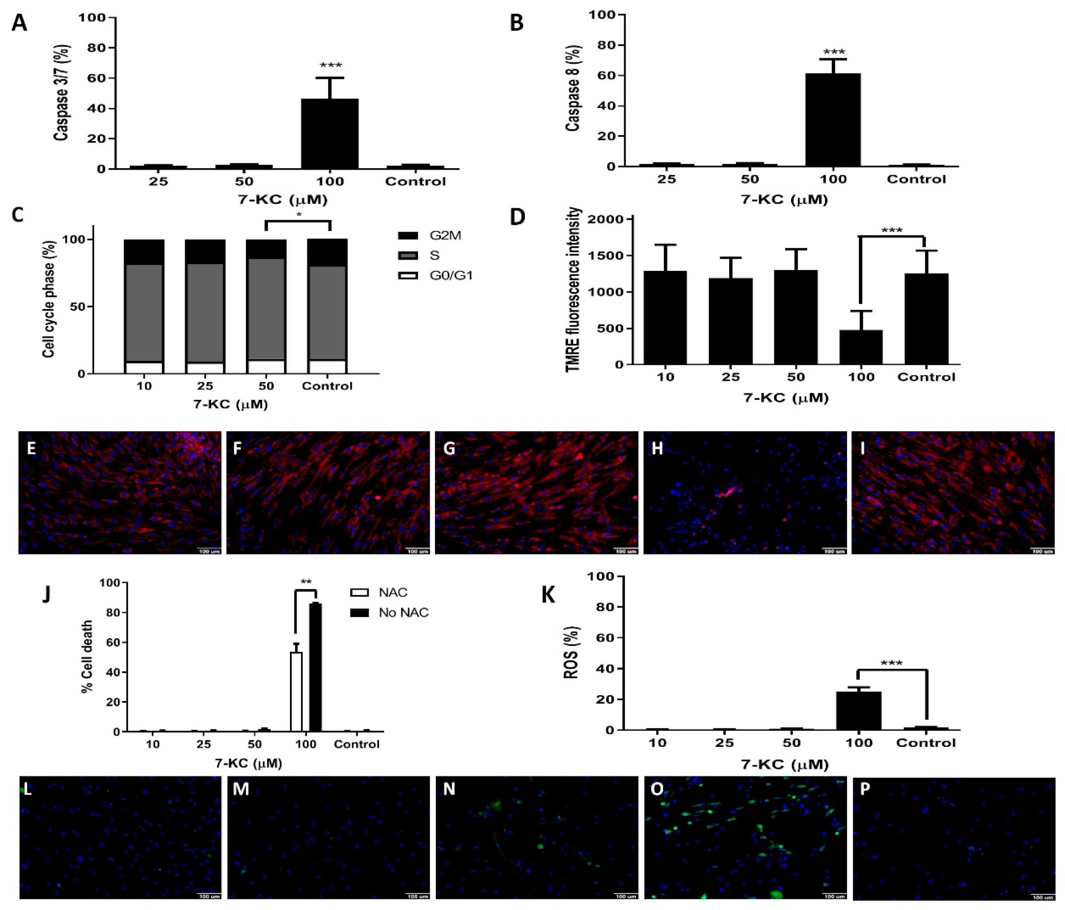 Cells 08 00482 g002 Cells 08 00482 g002