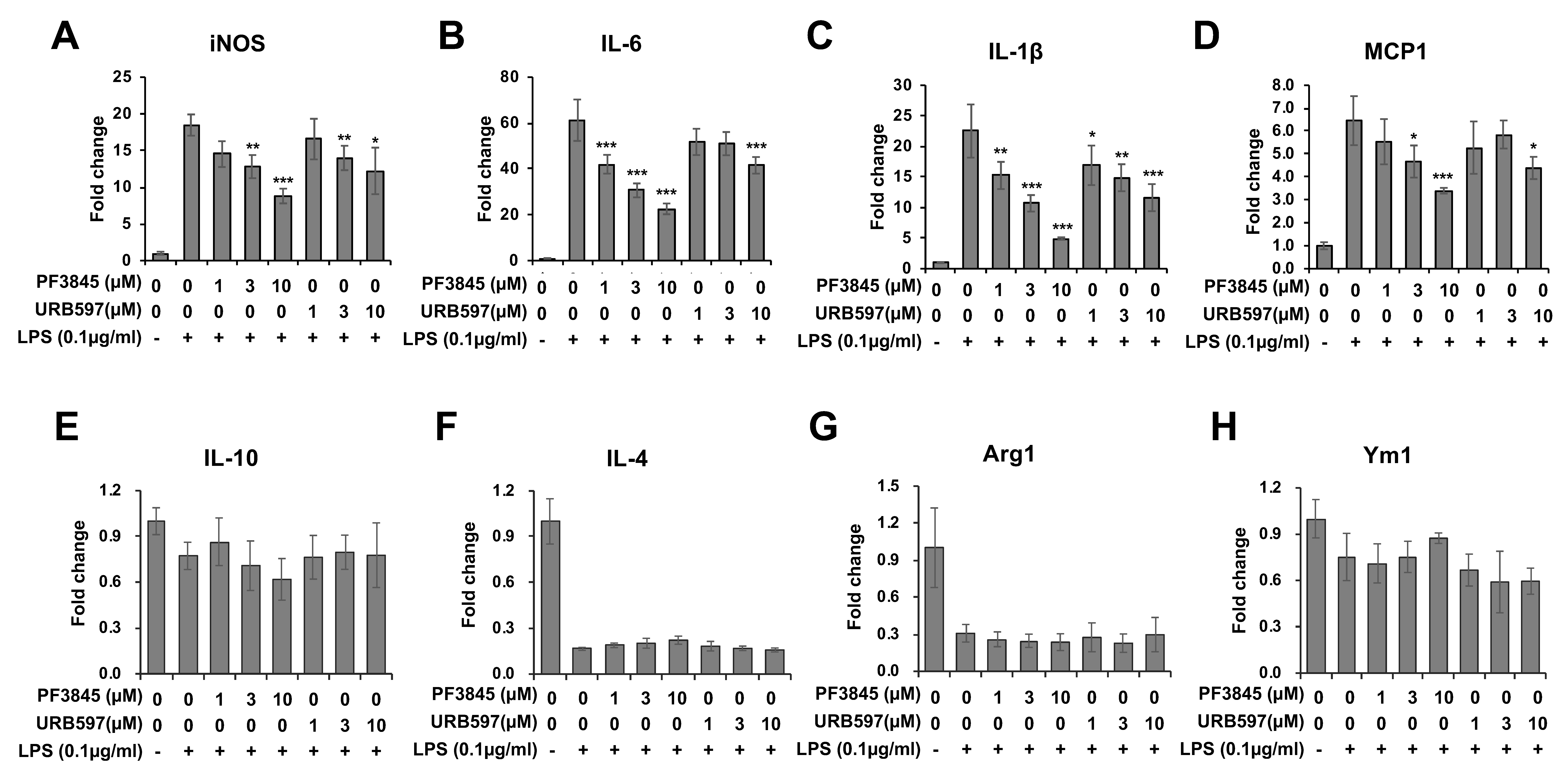 Cells 08 00491 g004 Cells 08 00491 g004