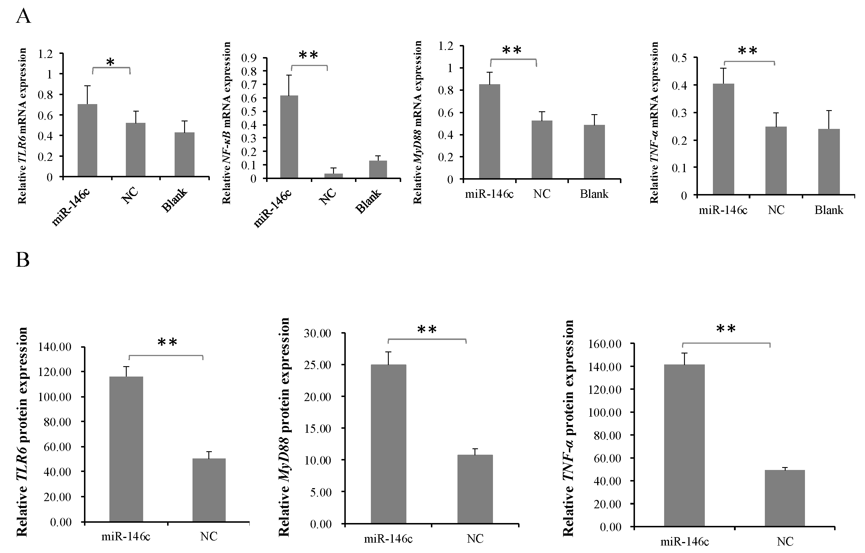 Cells 08 00501 g005a