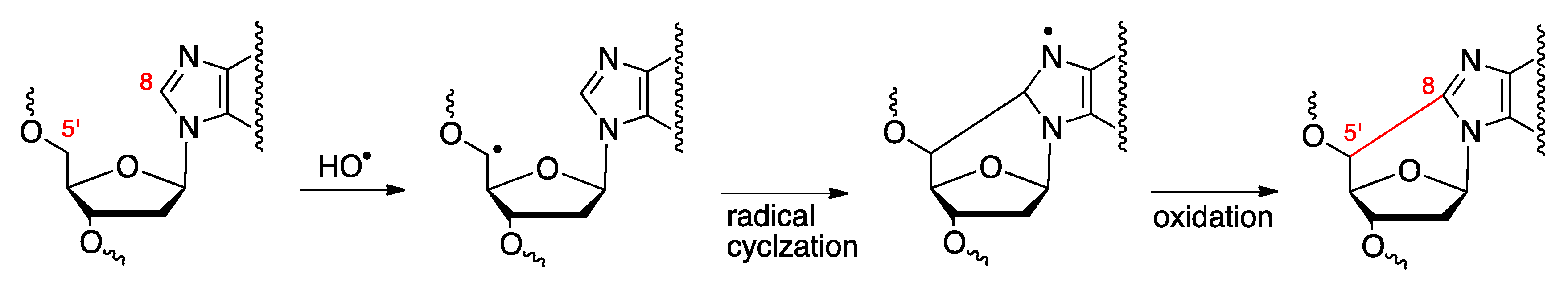 Cells 08 00513 g001 Cells 08 00513 g001