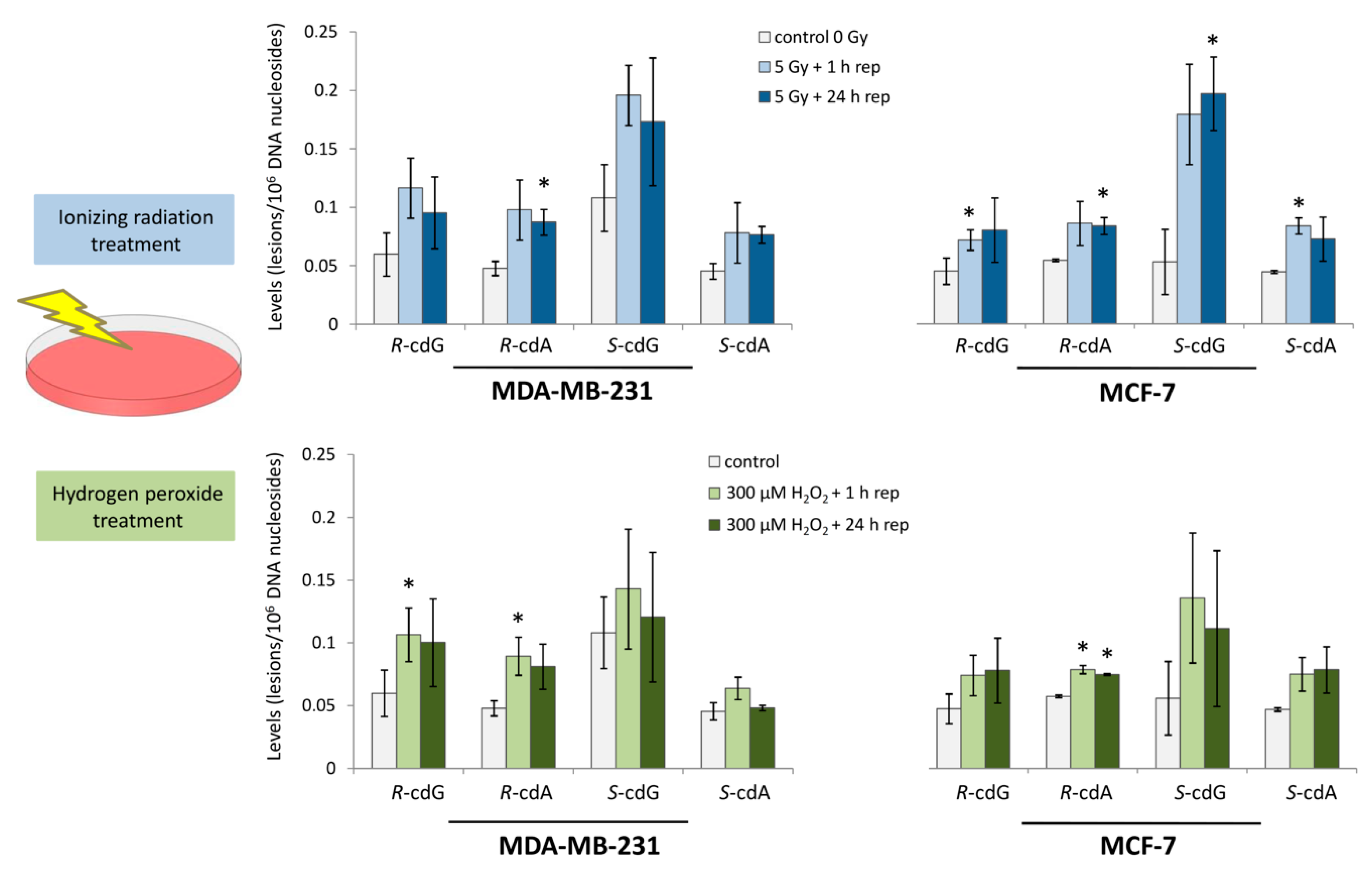 Cells 08 00513 g012 Cells 08 00513 g012