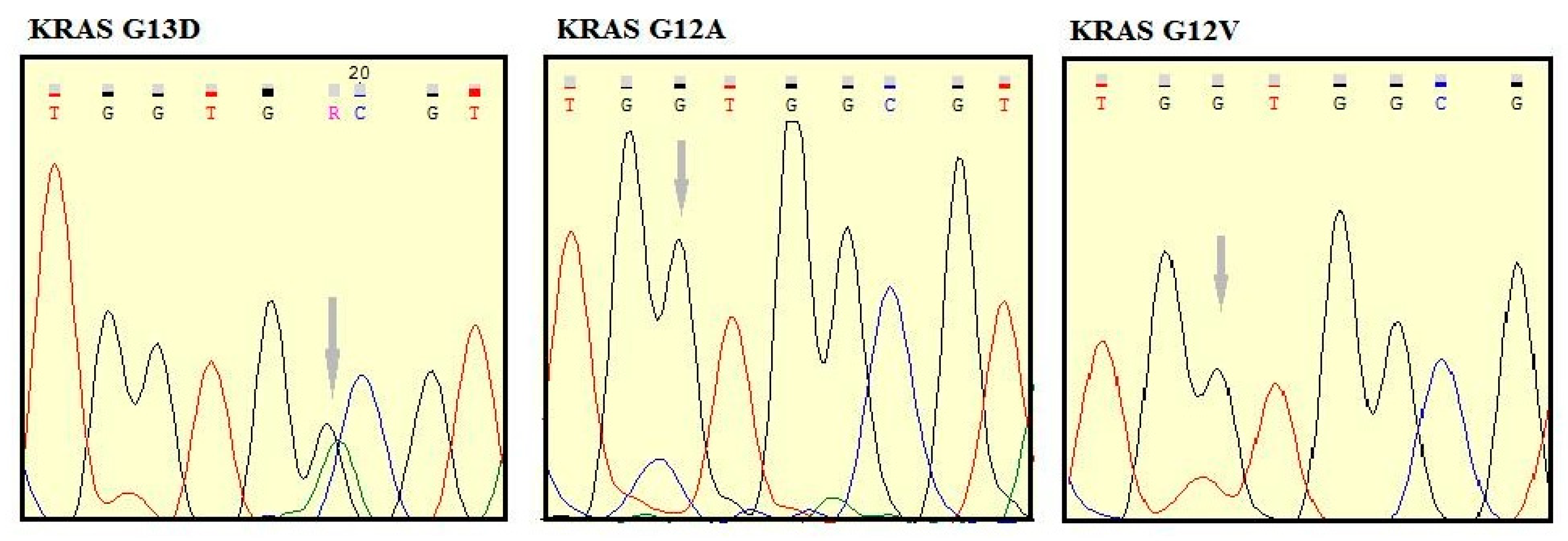 Cells 08 00514 g005 Cells 08 00514 g005