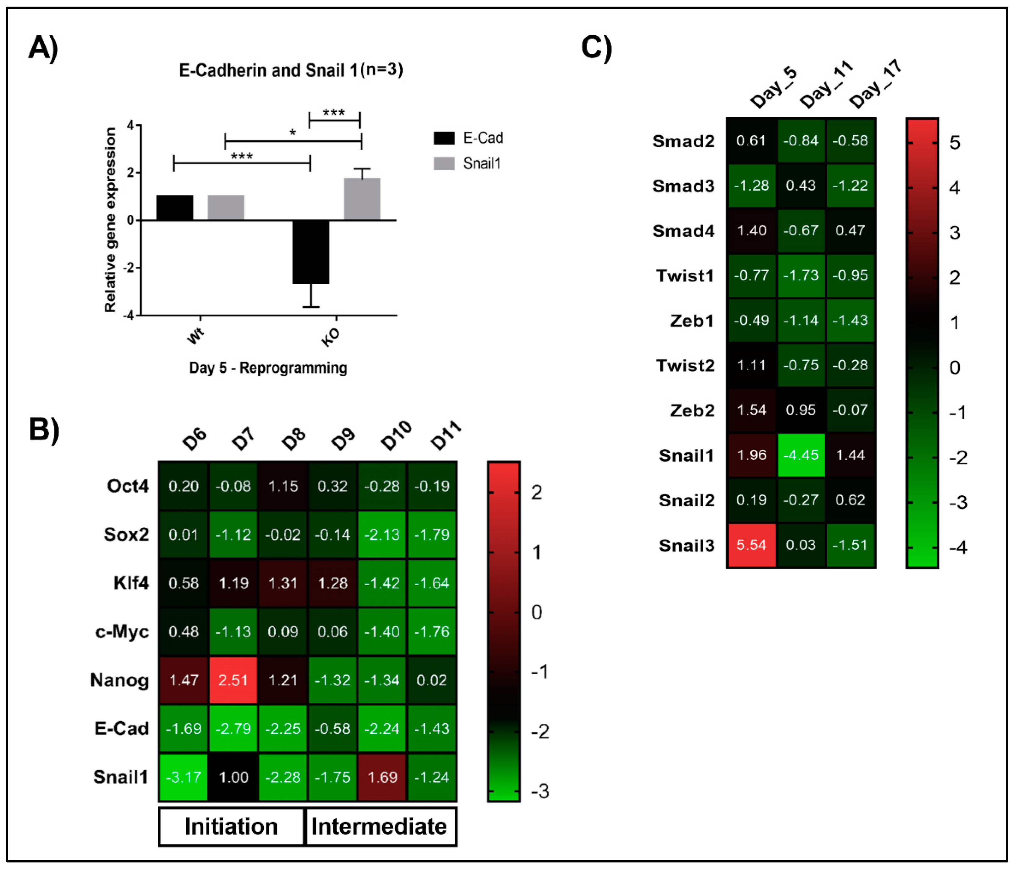 Cells 08 00529 g003 Cells 08 00529 g003