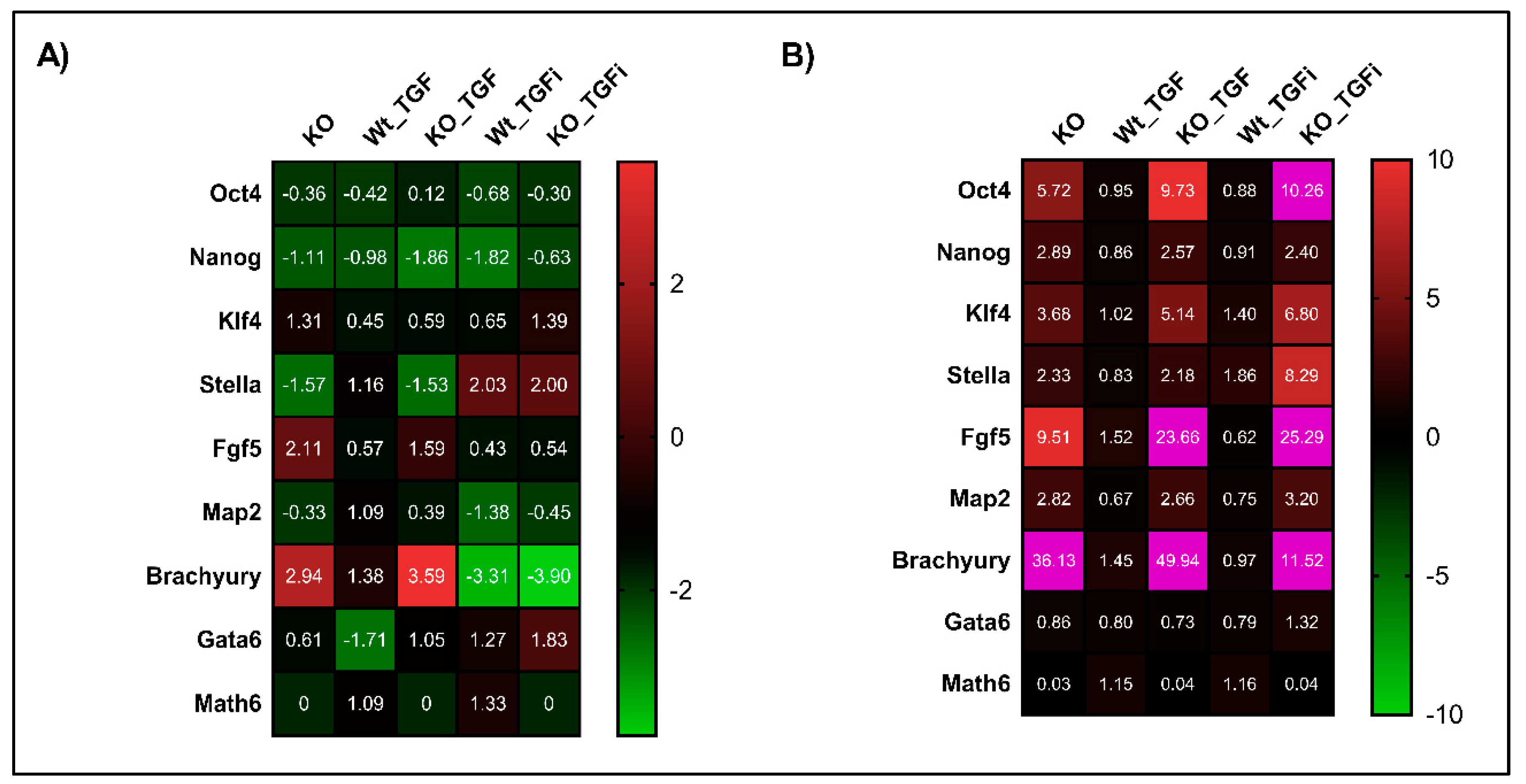 Cells 08 00529 g006 Cells 08 00529 g006