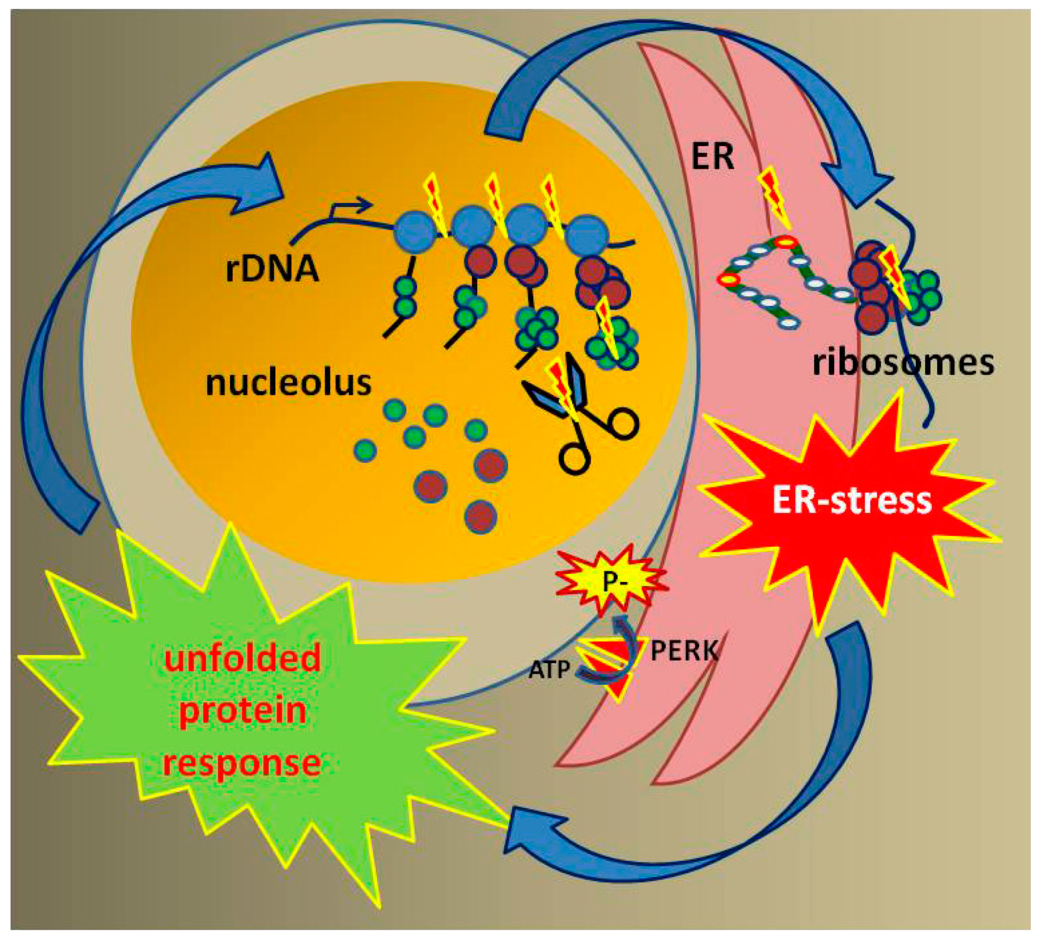 Cells 08 00534 g002 Cells 08 00534 g002