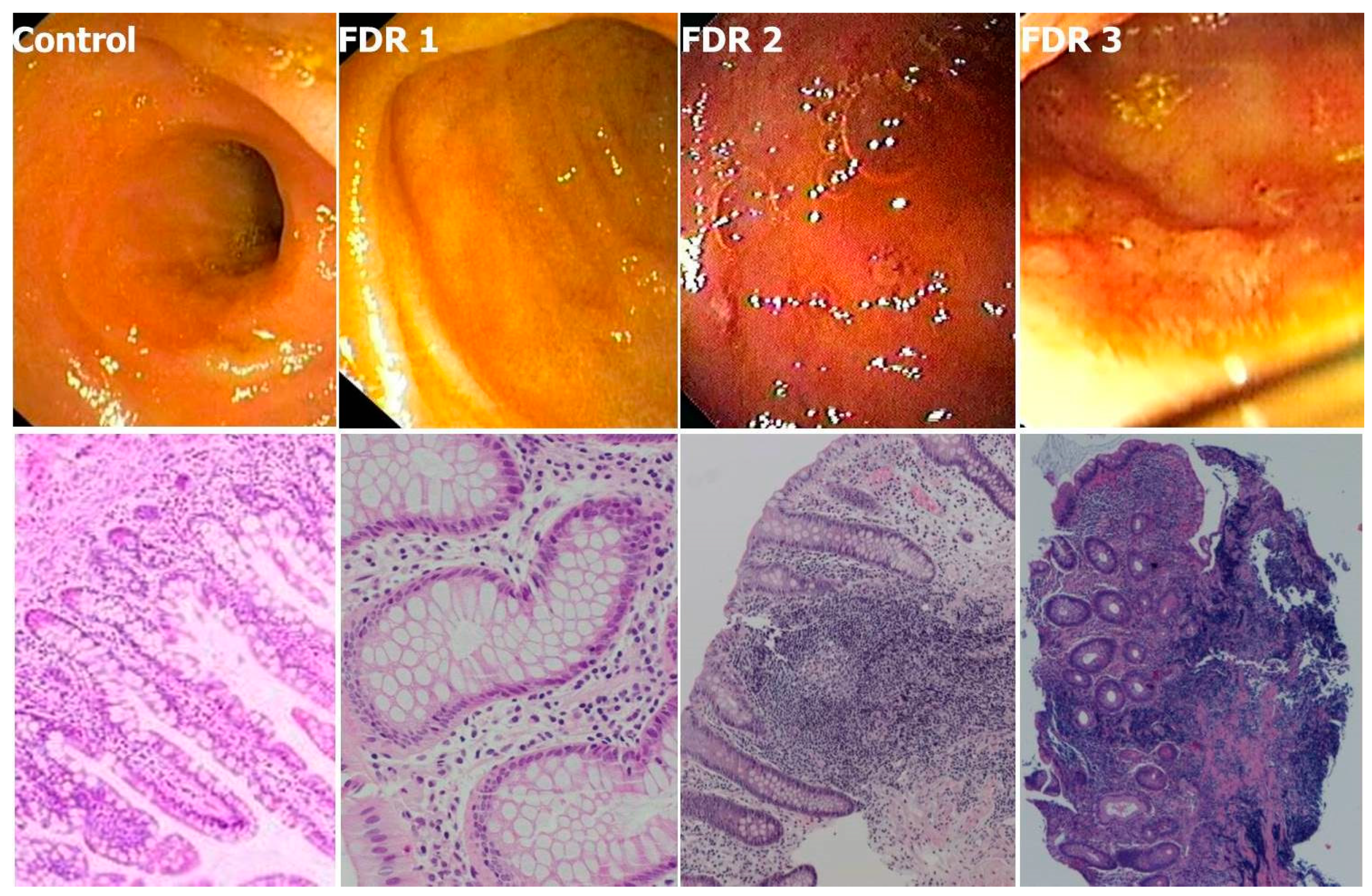 Cells 08 00548 g001 Cells 08 00548 g001