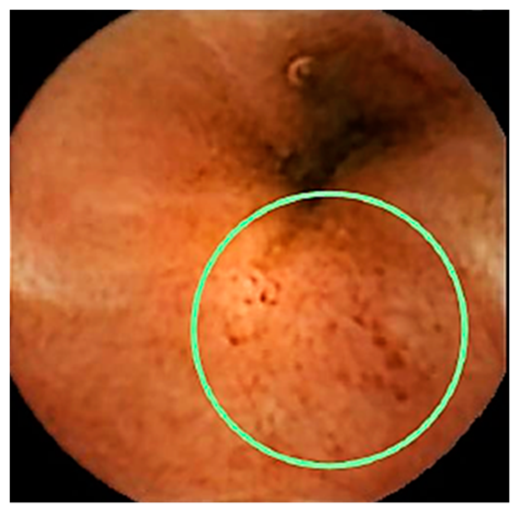 Cells 08 00548 g003 Cells 08 00548 g003