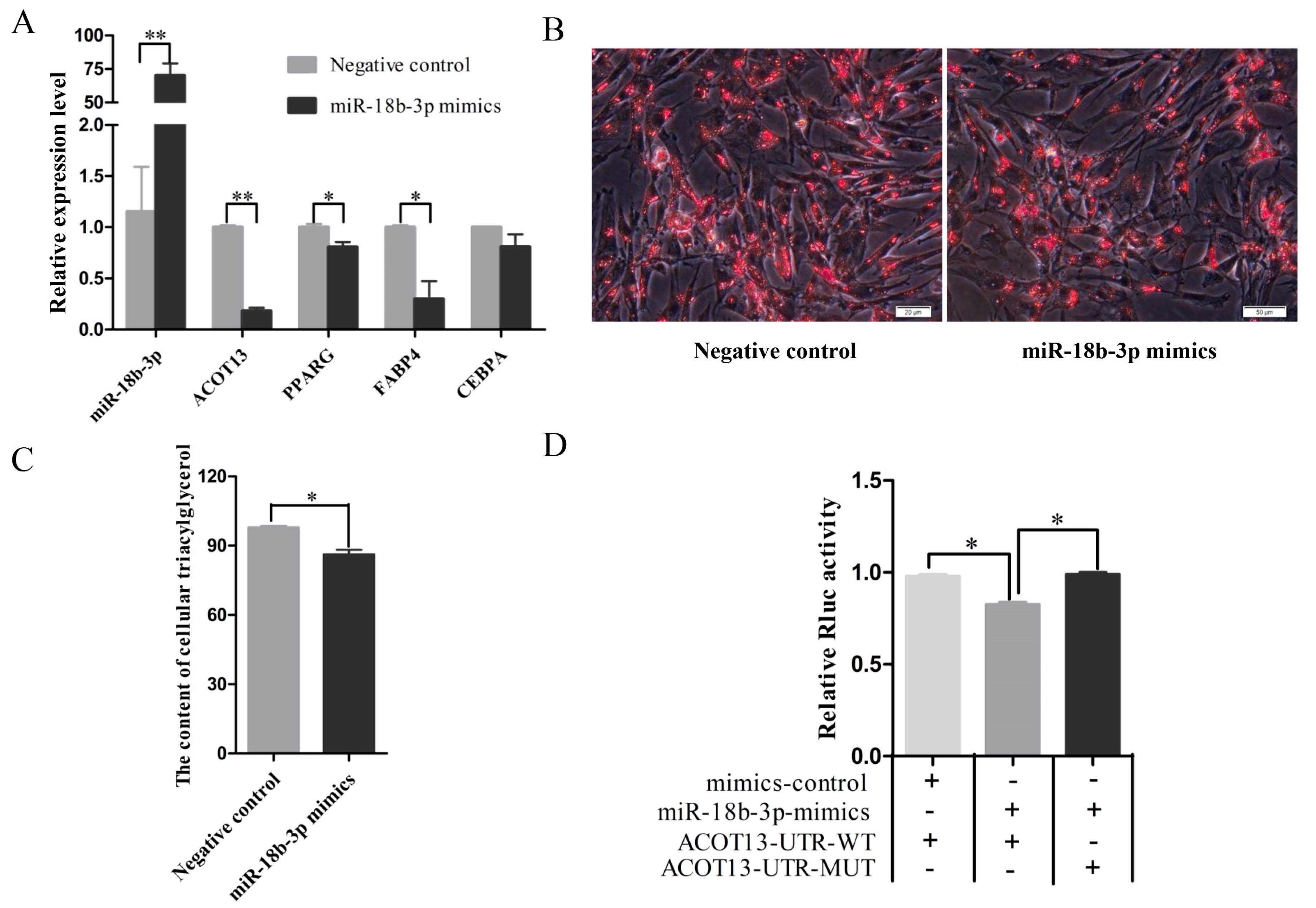 Cells 08 00556 g005 Cells 08 00556 g005