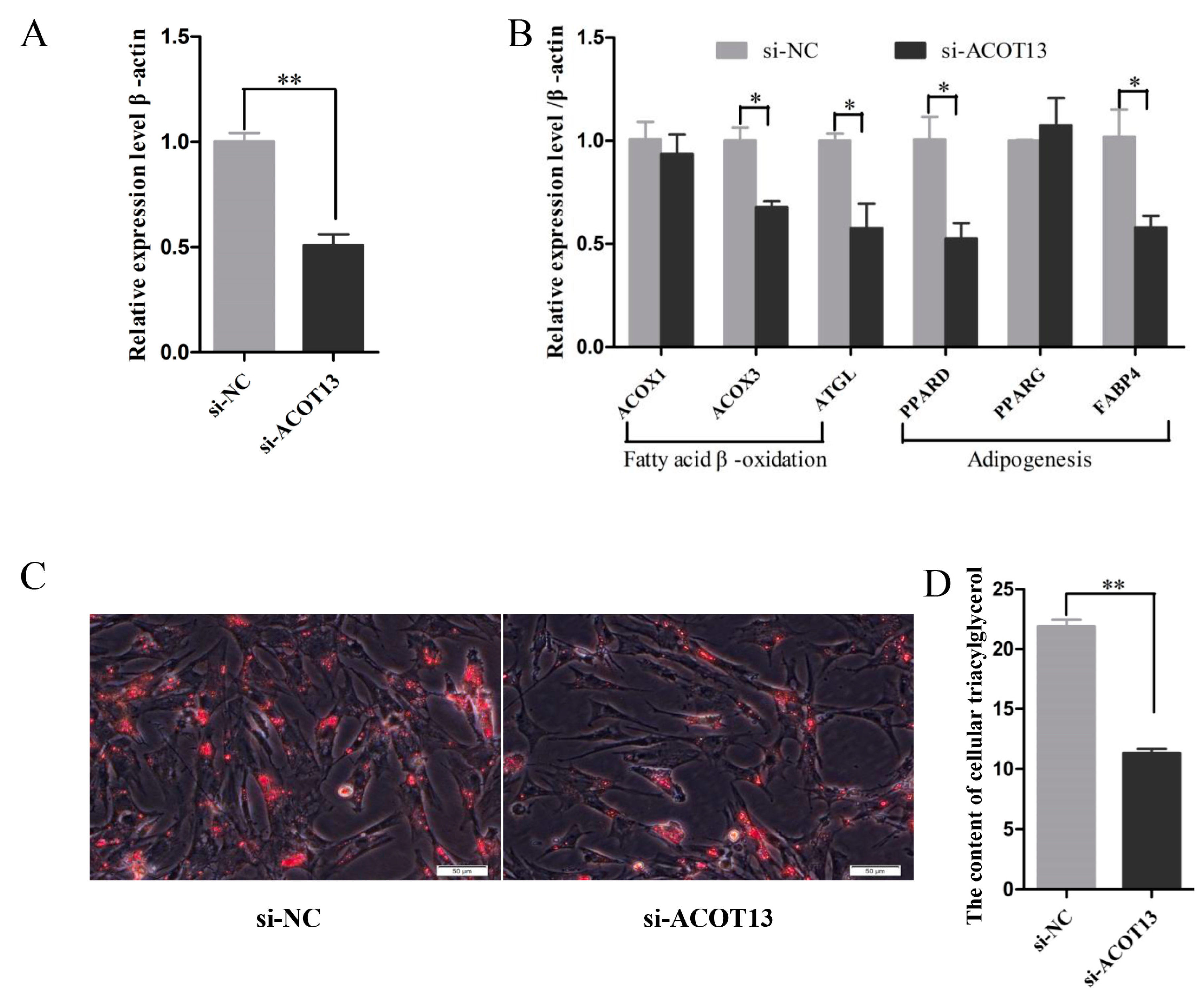 Cells 08 00556 g007 Cells 08 00556 g007