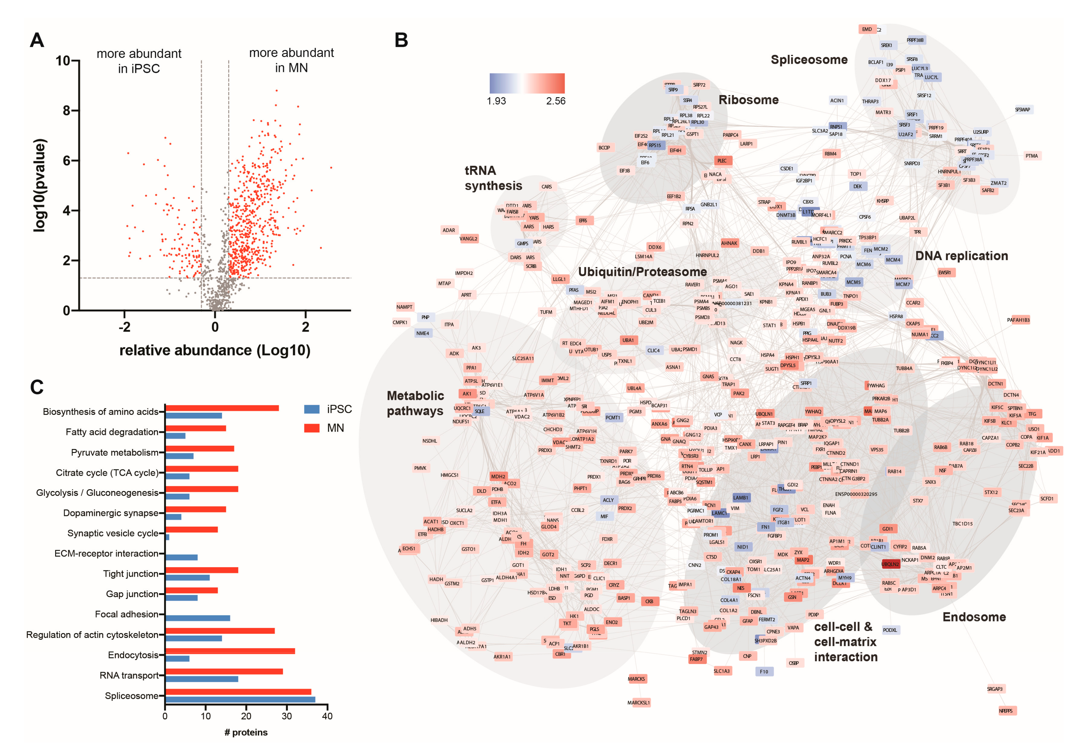 Cells 08 00581 g003 Cells 08 00581 g003
