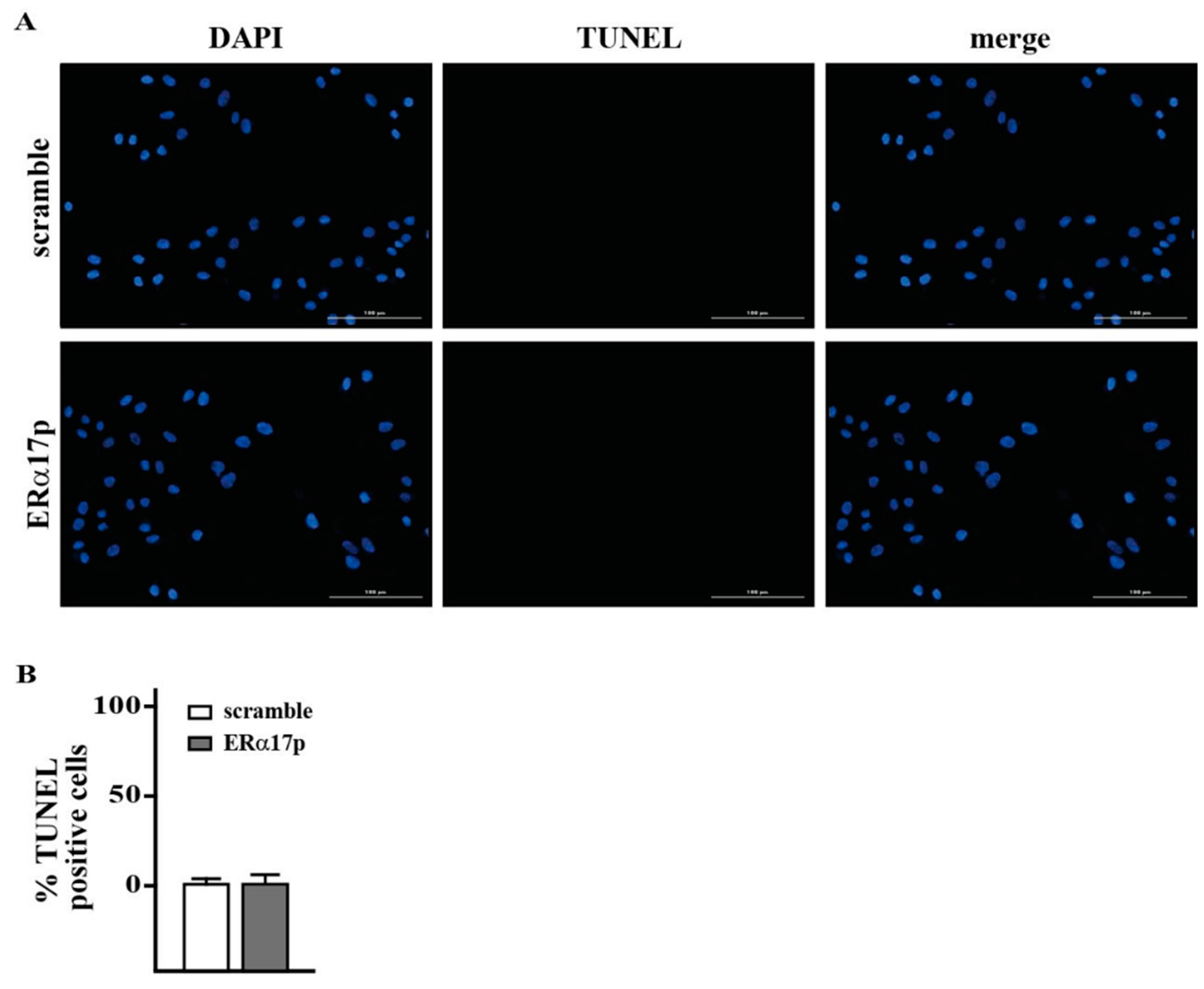 Cells 08 00590 g002 Cells 08 00590 g002