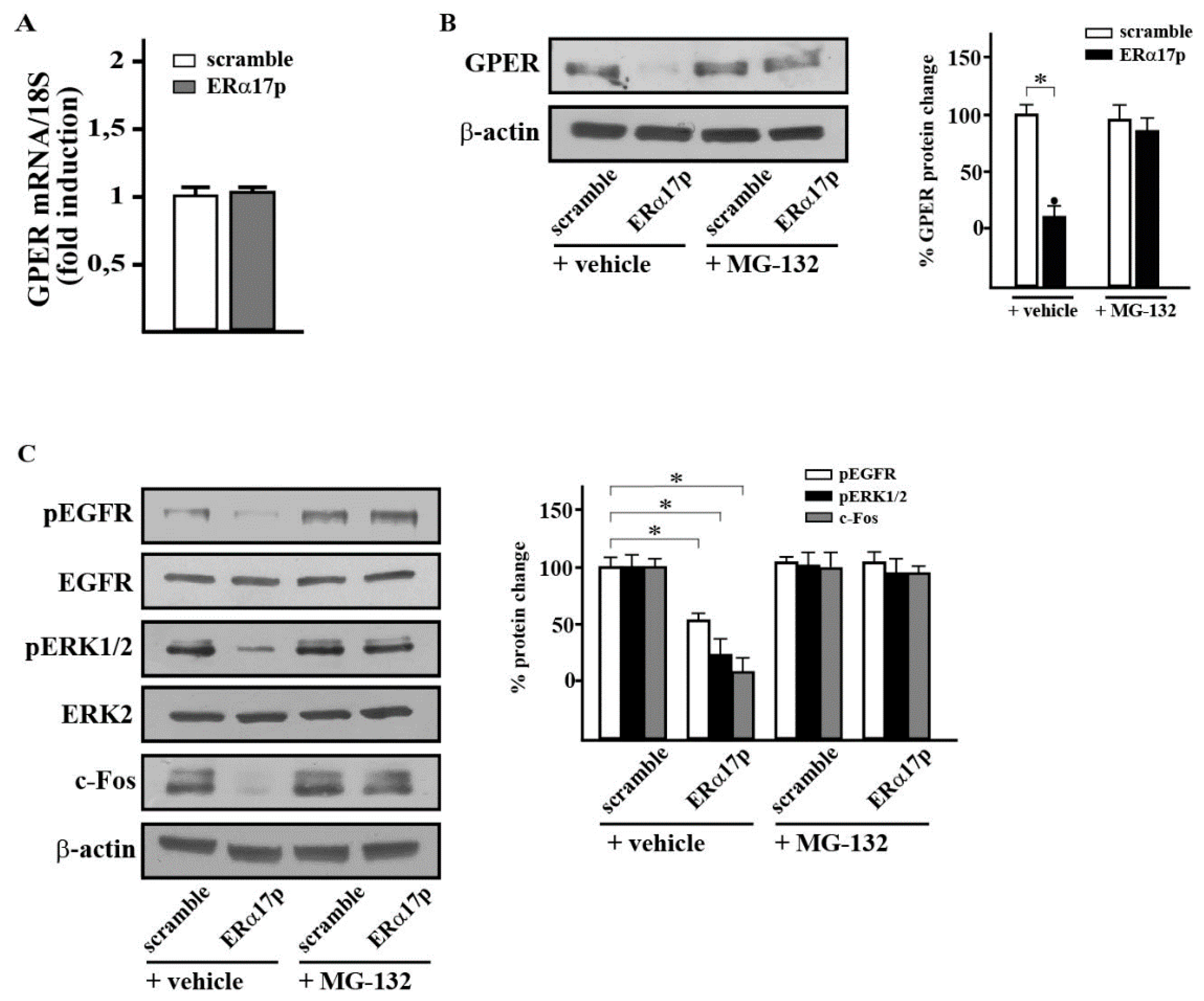Cells 08 00590 g005 Cells 08 00590 g005