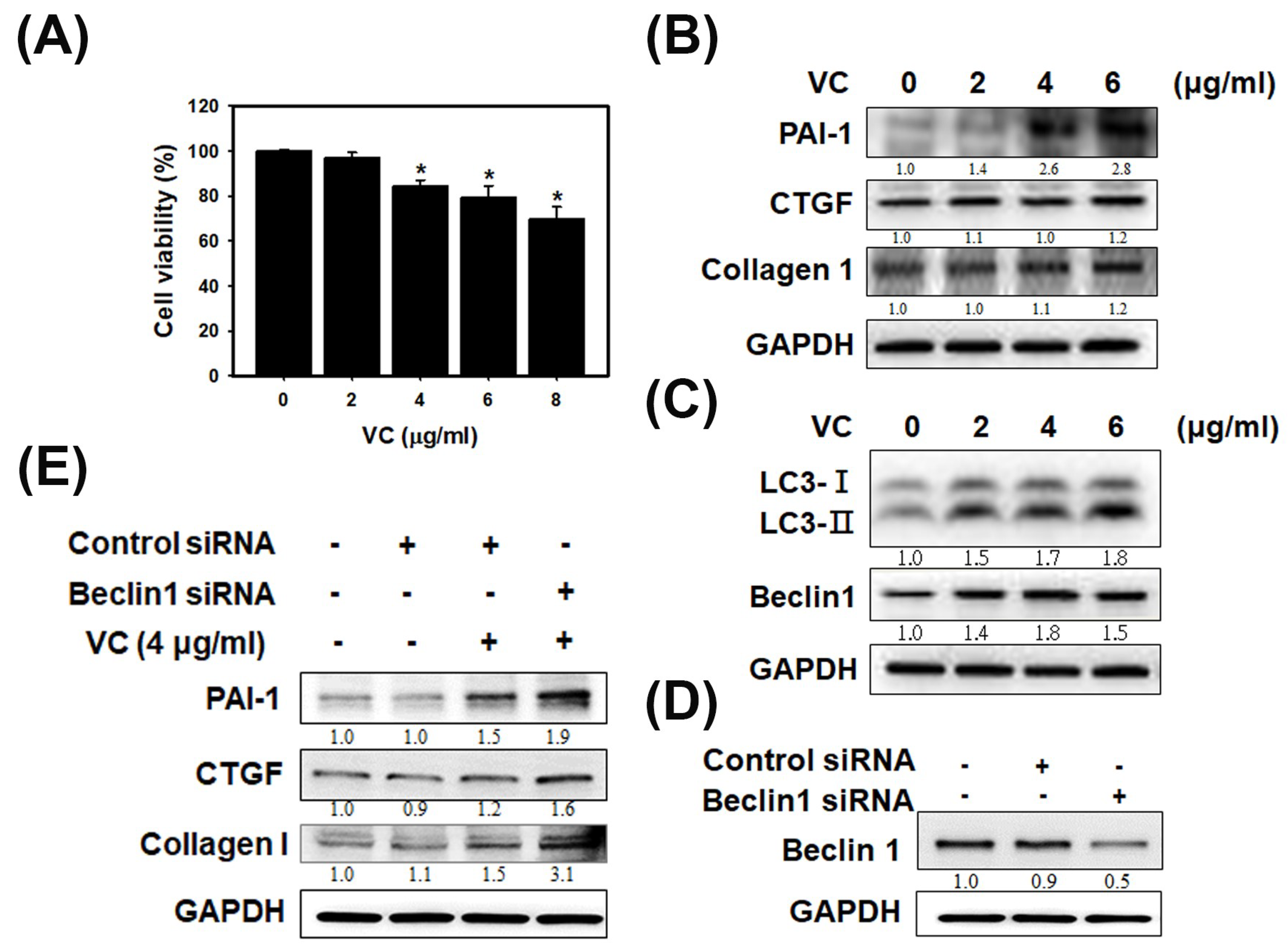 Cells 08 00601 g001 Cells 08 00601 g001
