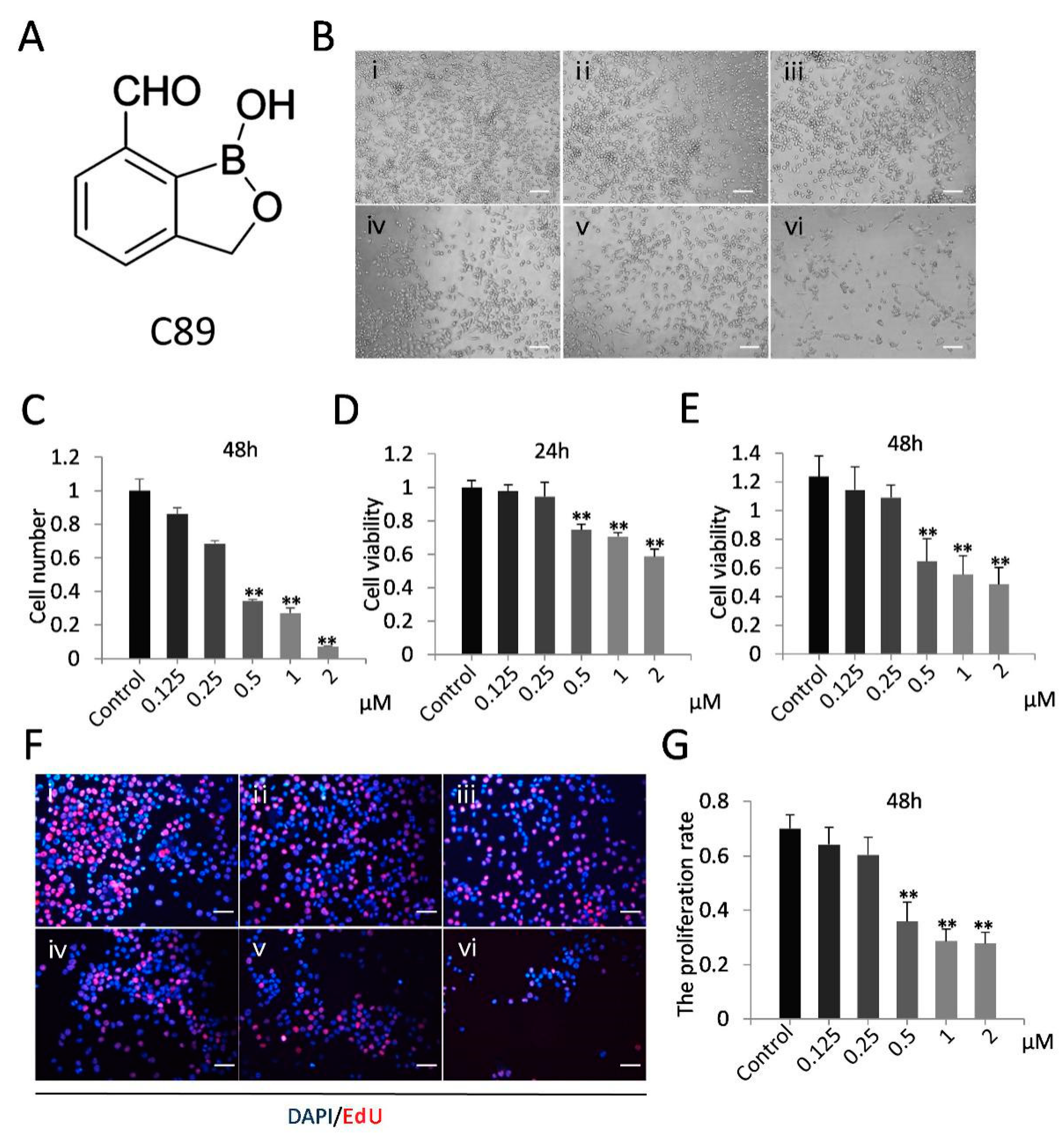 Cells 08 00606 g001