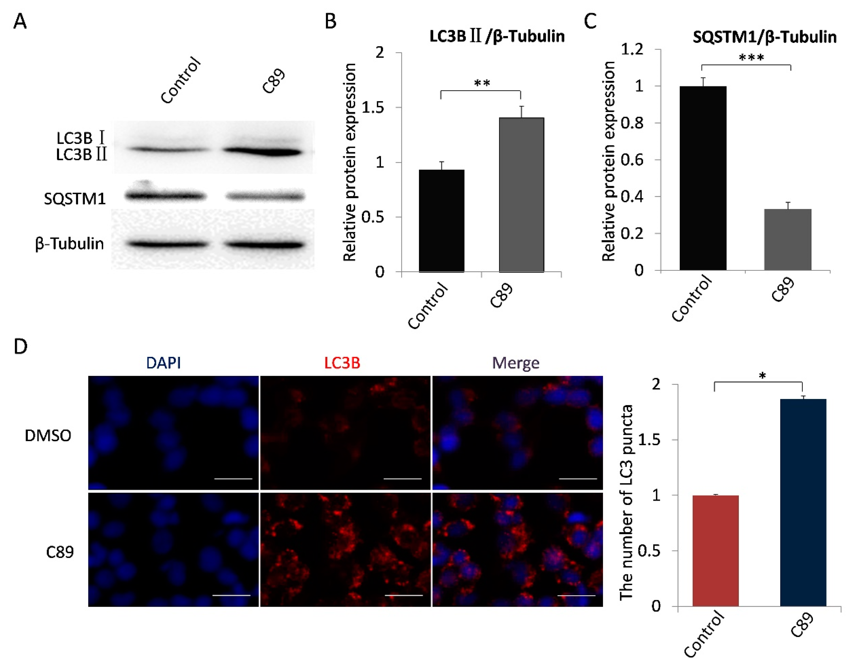 Cells 08 00606 g002