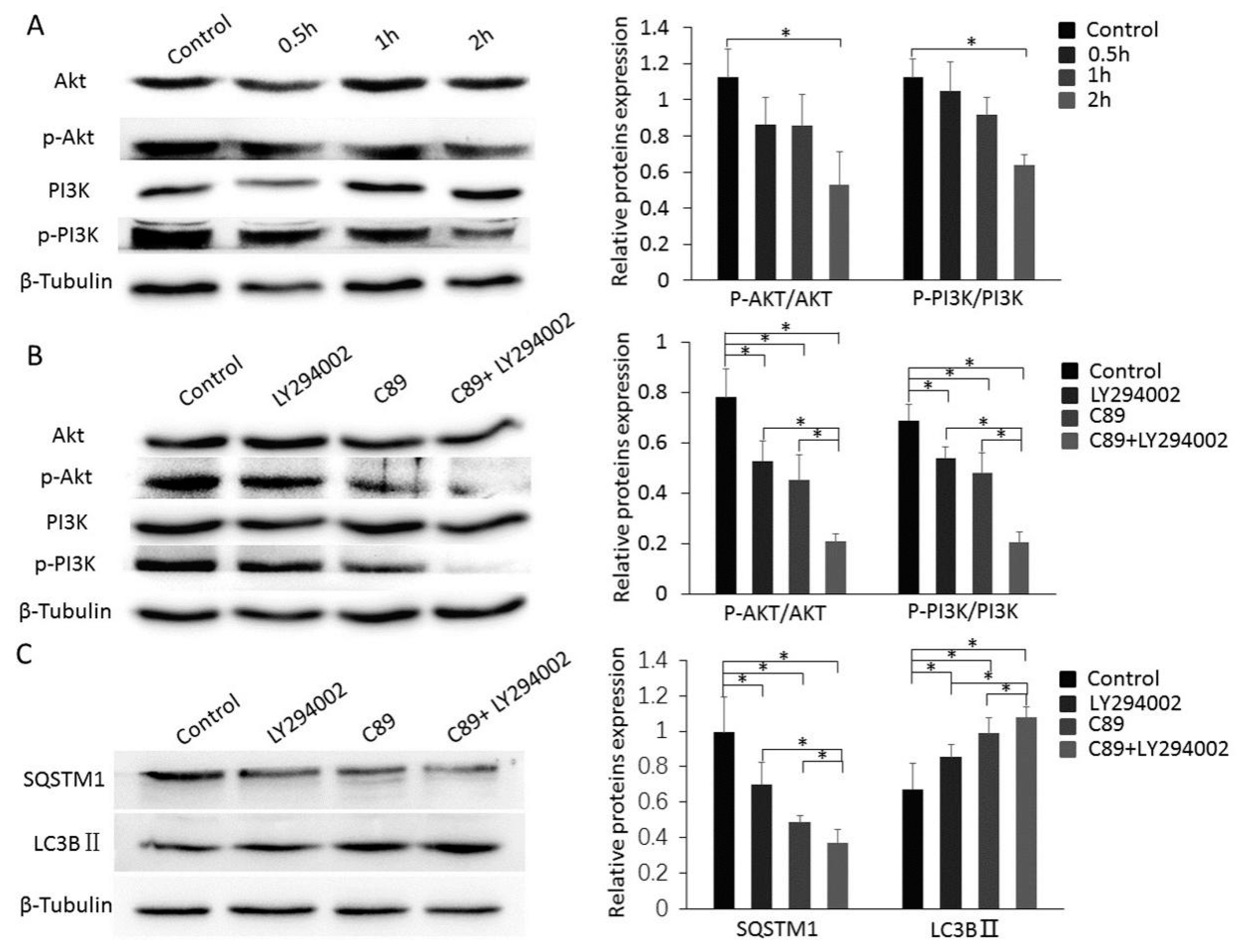 Cells 08 00606 g004