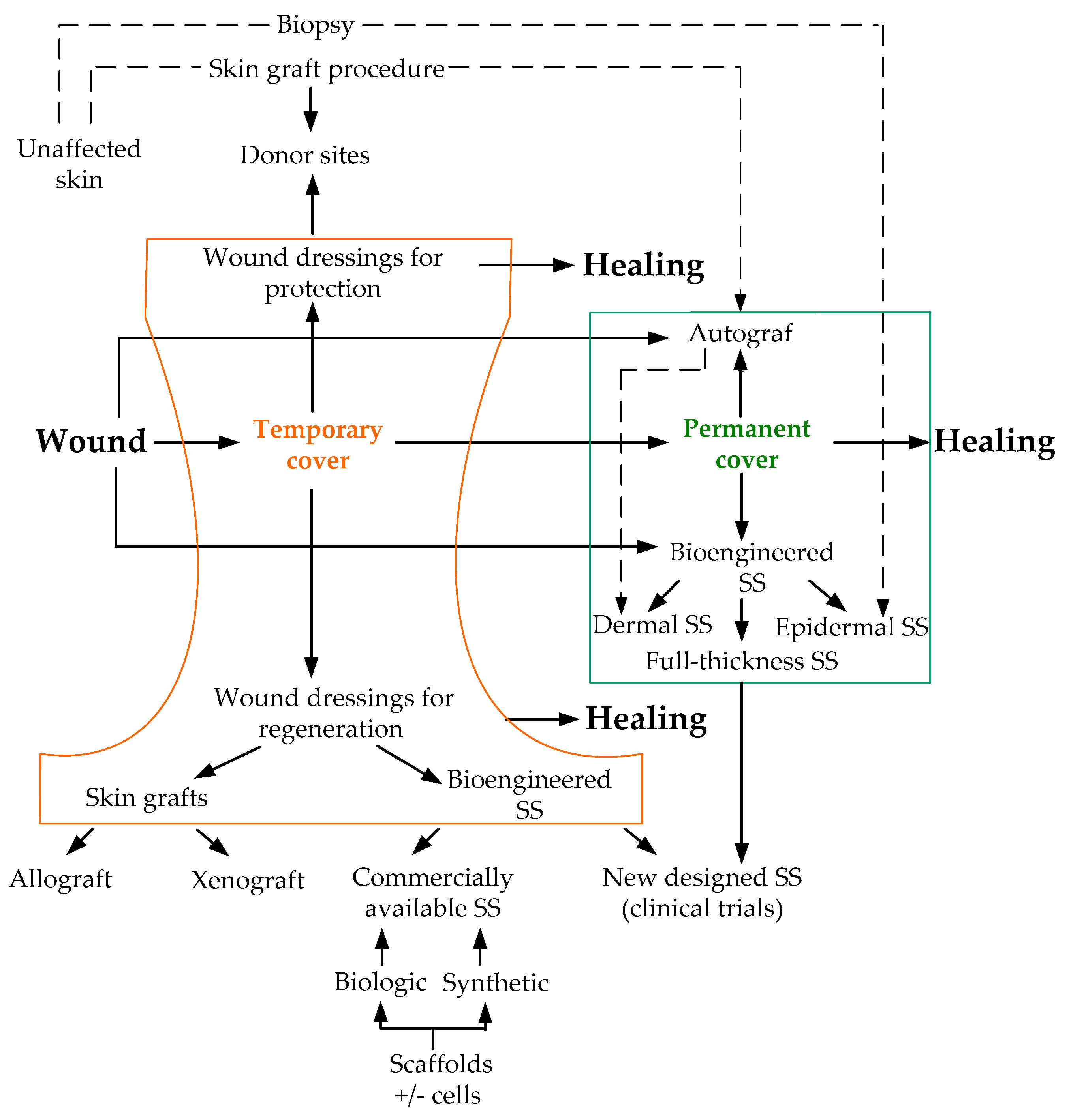 Cells 08 00607 sch002
