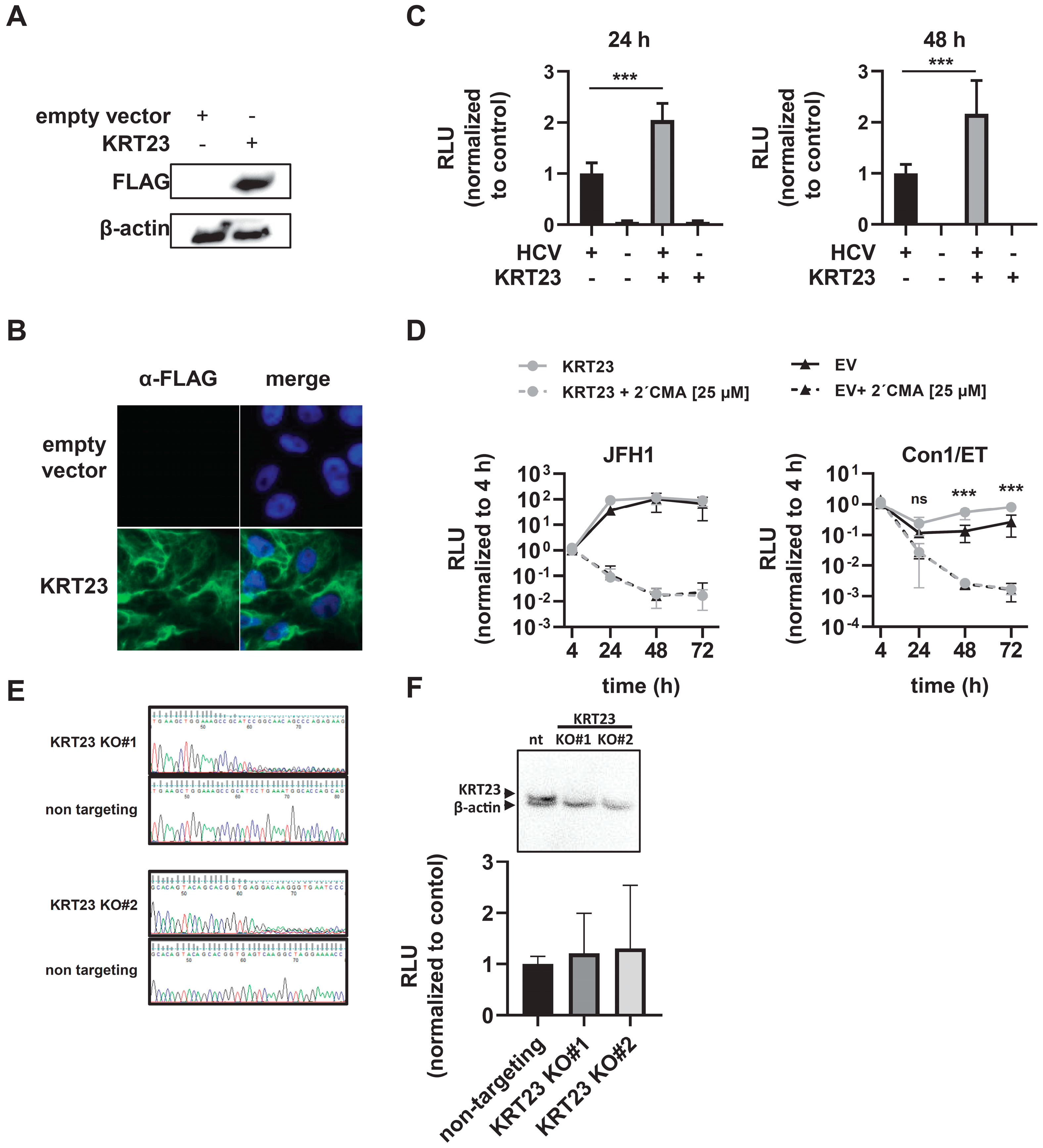 Cells 08 00610 g004
