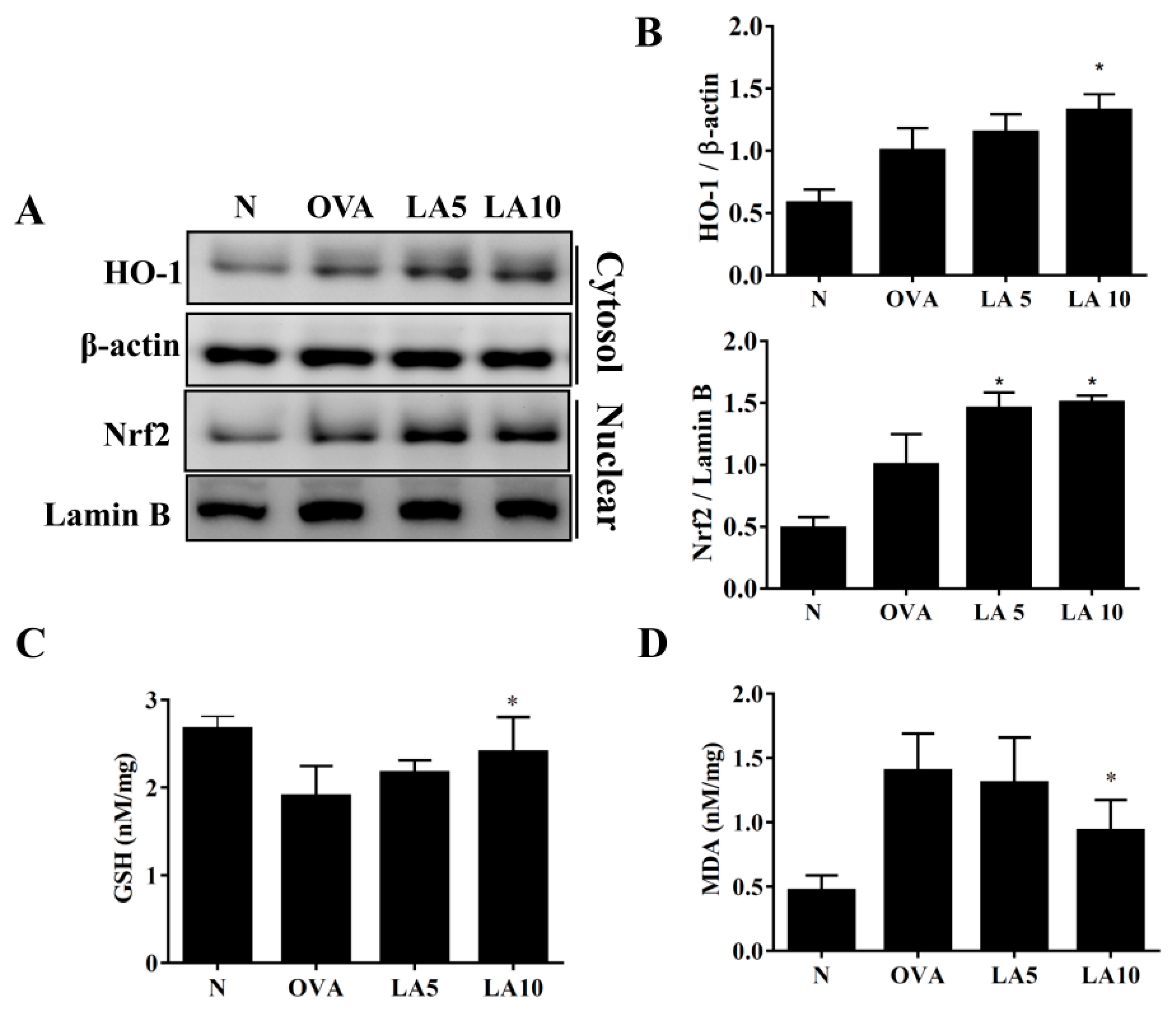 Cells 08 00617 g006 Cells 08 00617 g006