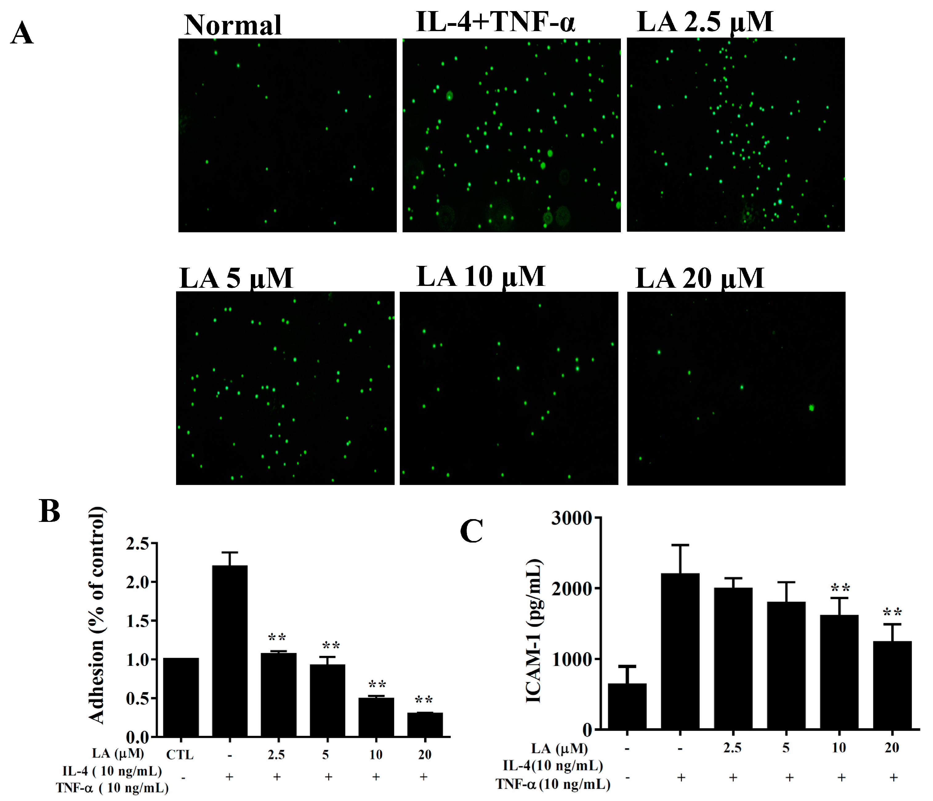 Cells 08 00617 g010 Cells 08 00617 g010