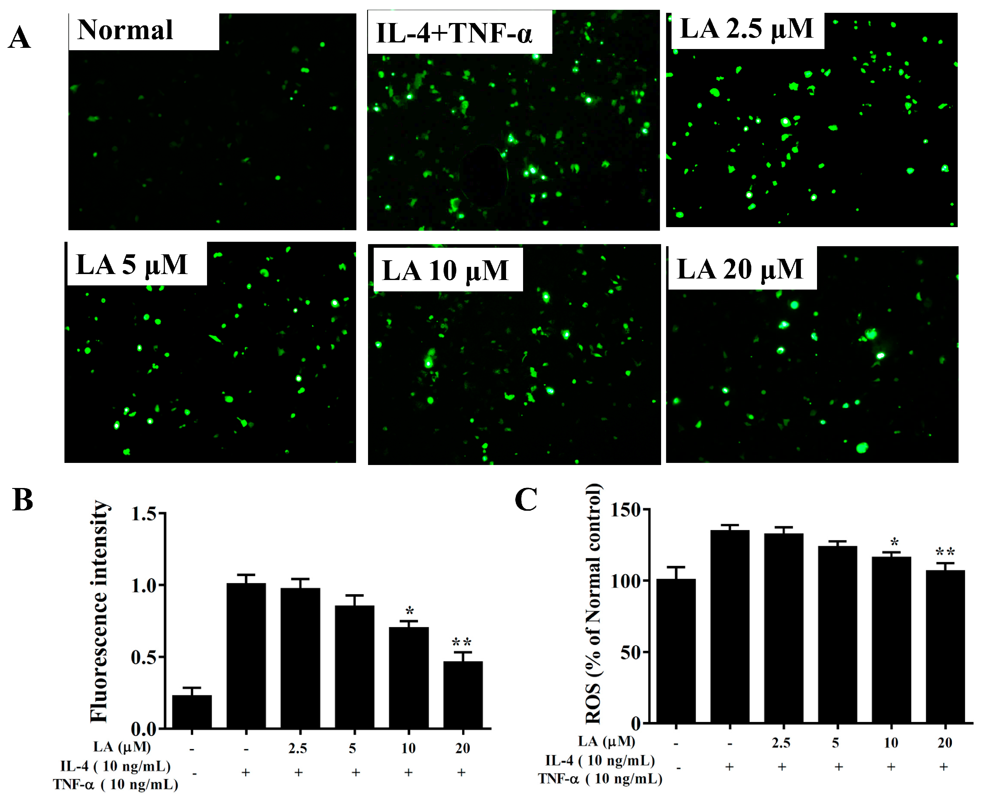 Cells 08 00617 g011 Cells 08 00617 g011
