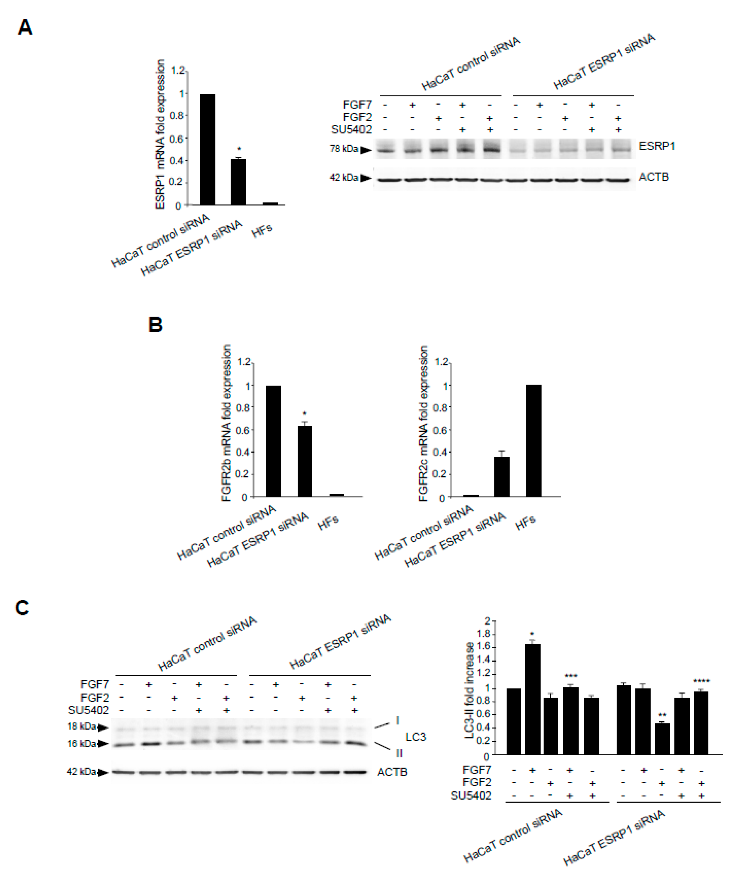 Cells 08 00653 g006a