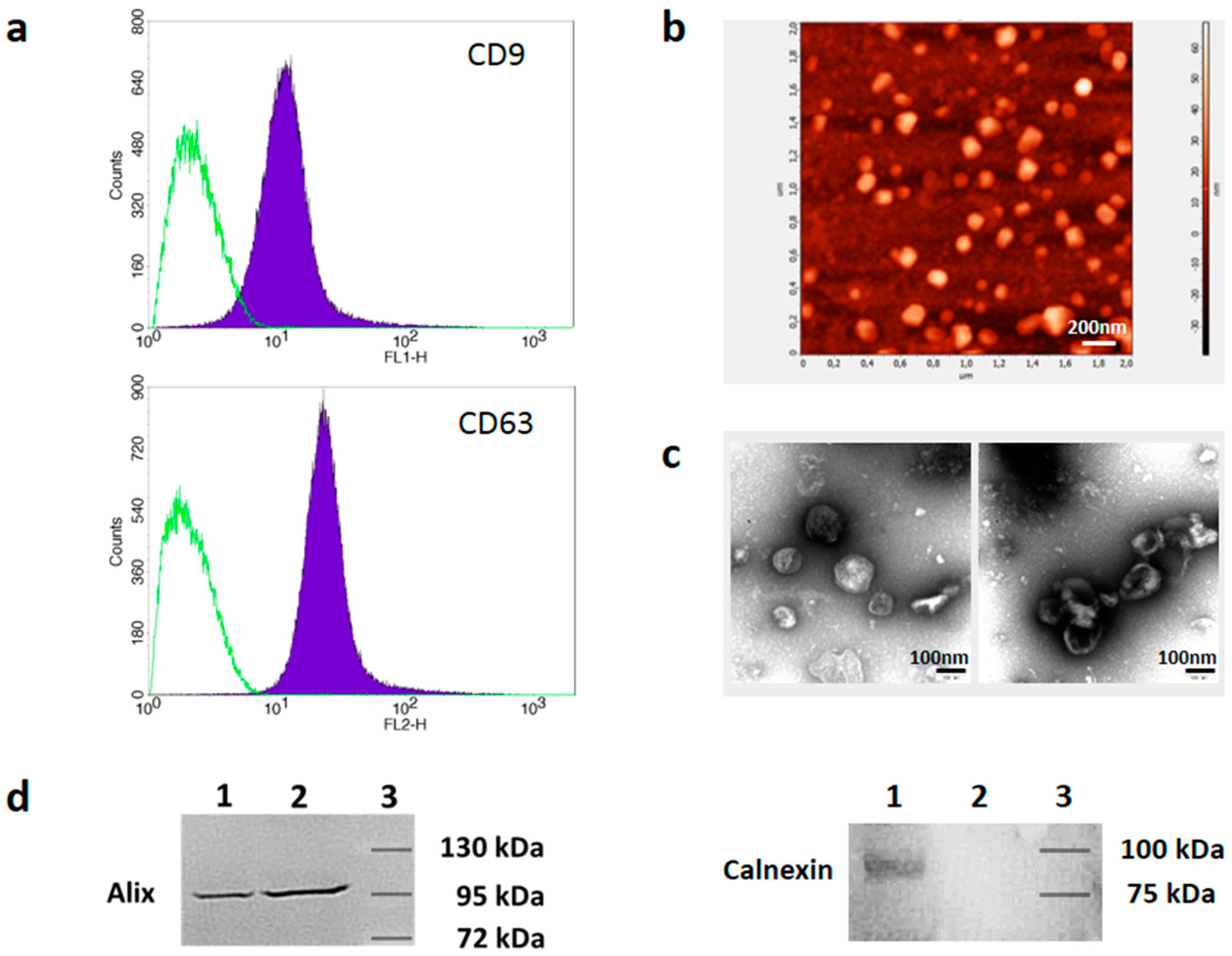 Cells 08 00665 g001 Cells 08 00665 g001