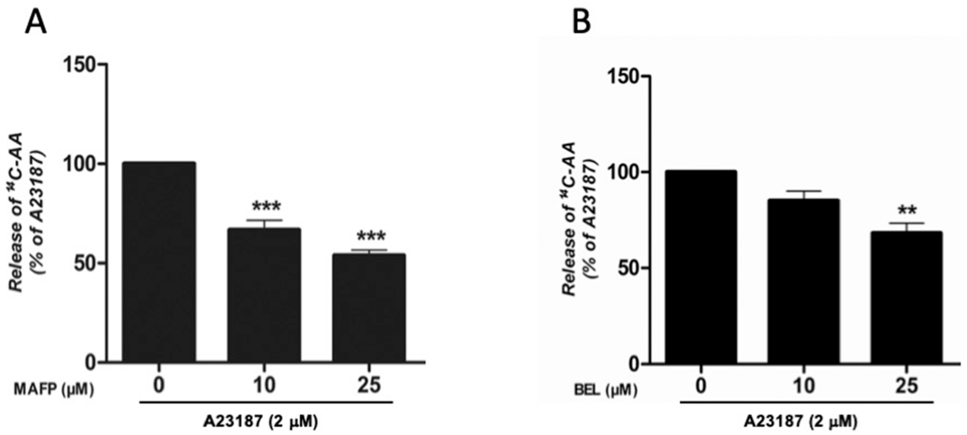 Cells 08 00672 g004 Cells 08 00672 g004