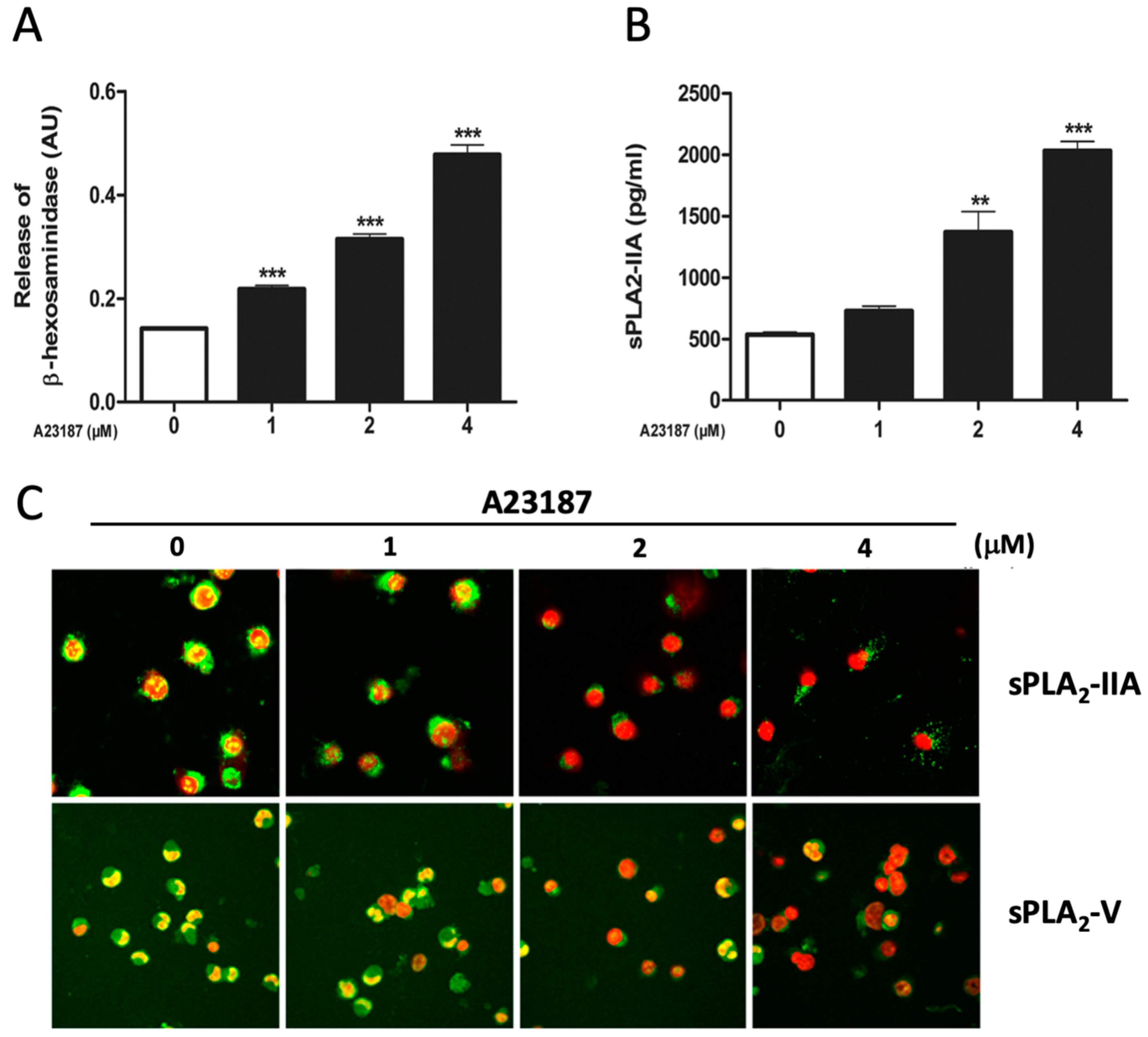 Cells 08 00672 g005 Cells 08 00672 g005