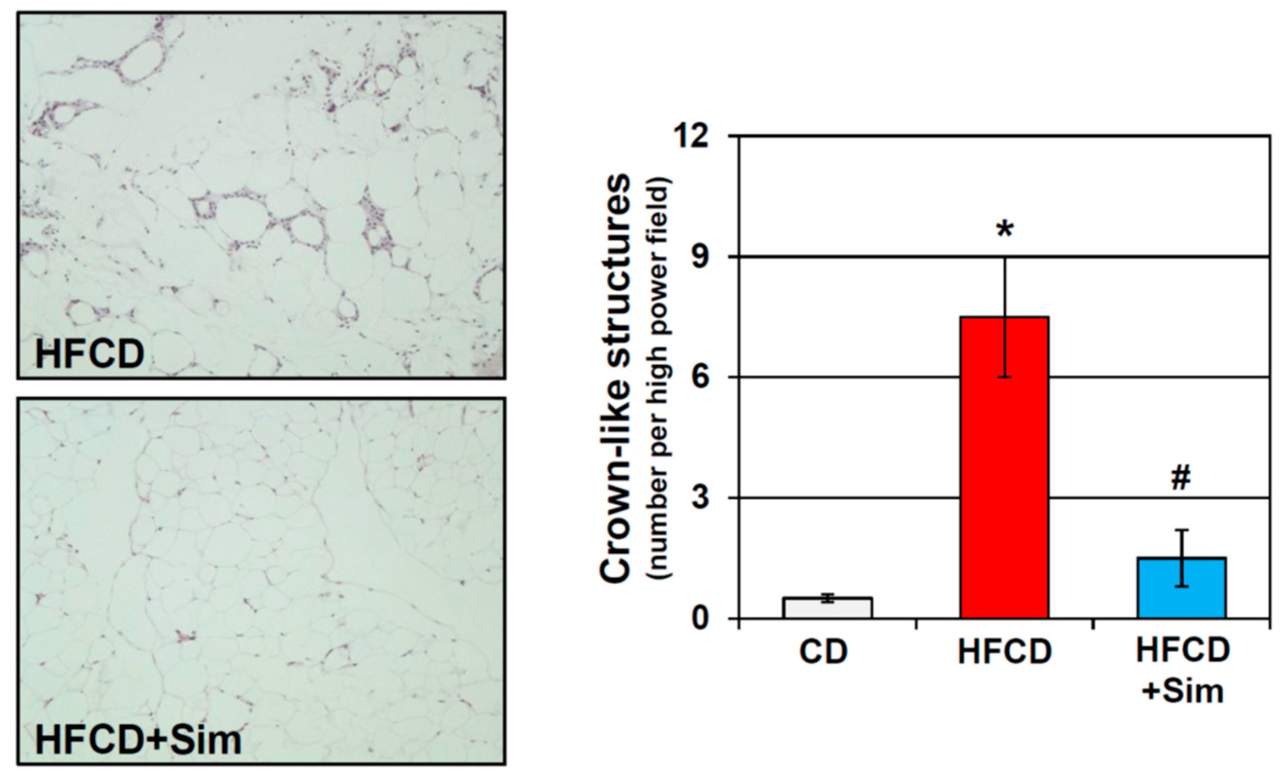 Cells 08 00673 g001