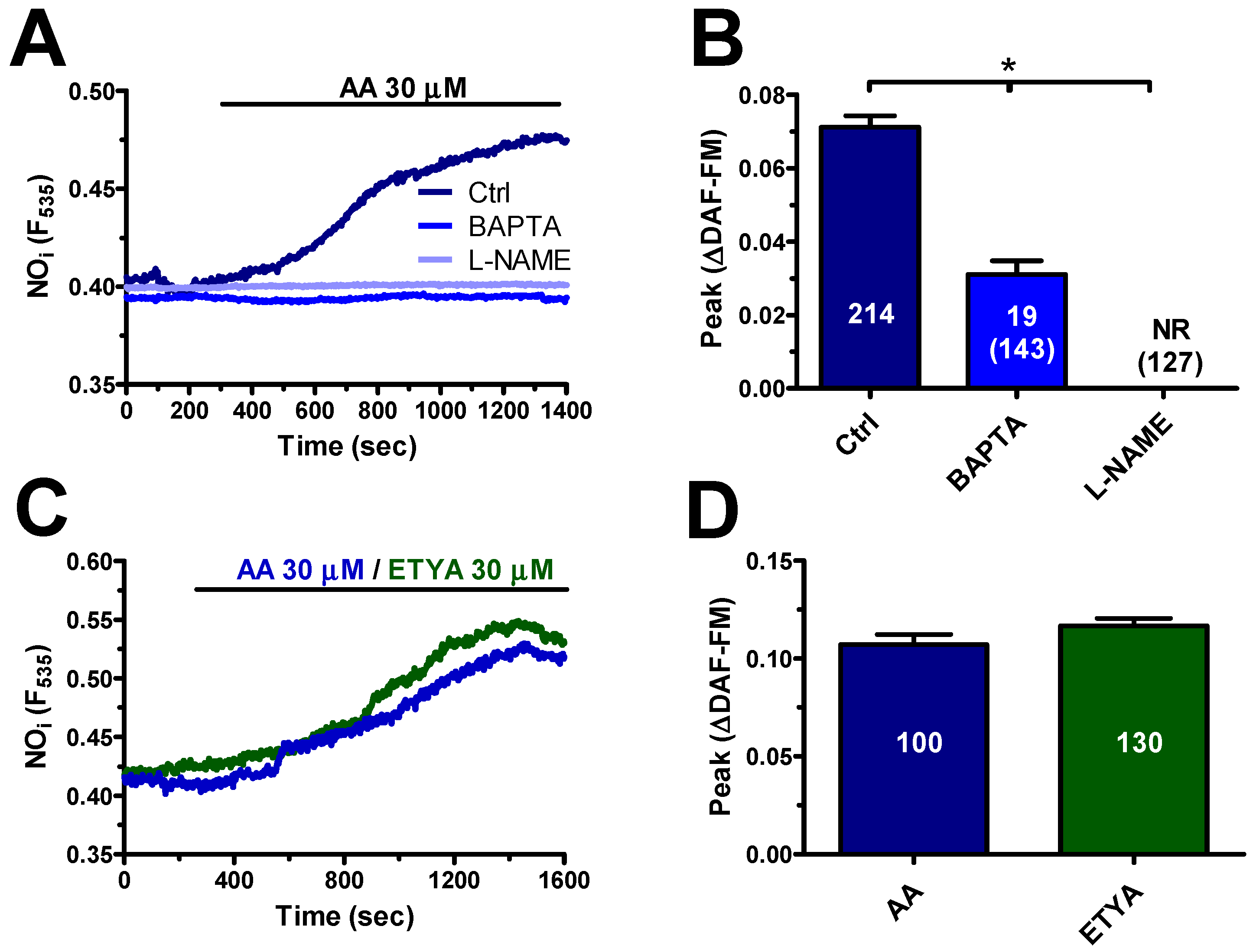 Cells 08 00689 g007 Cells 08 00689 g007