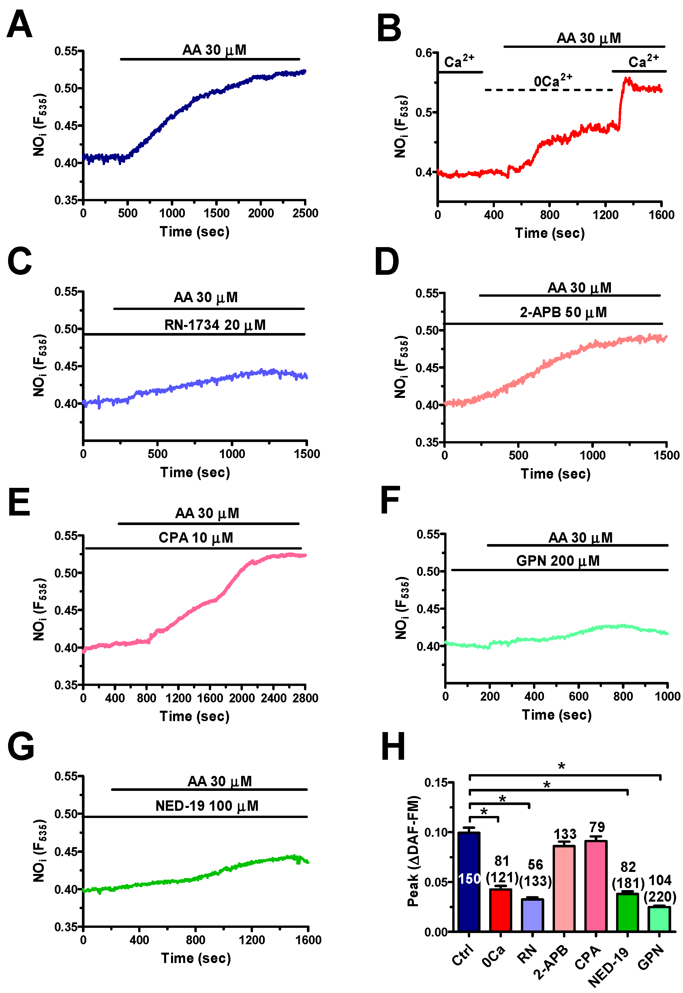 Cells 08 00689 g008 Cells 08 00689 g008