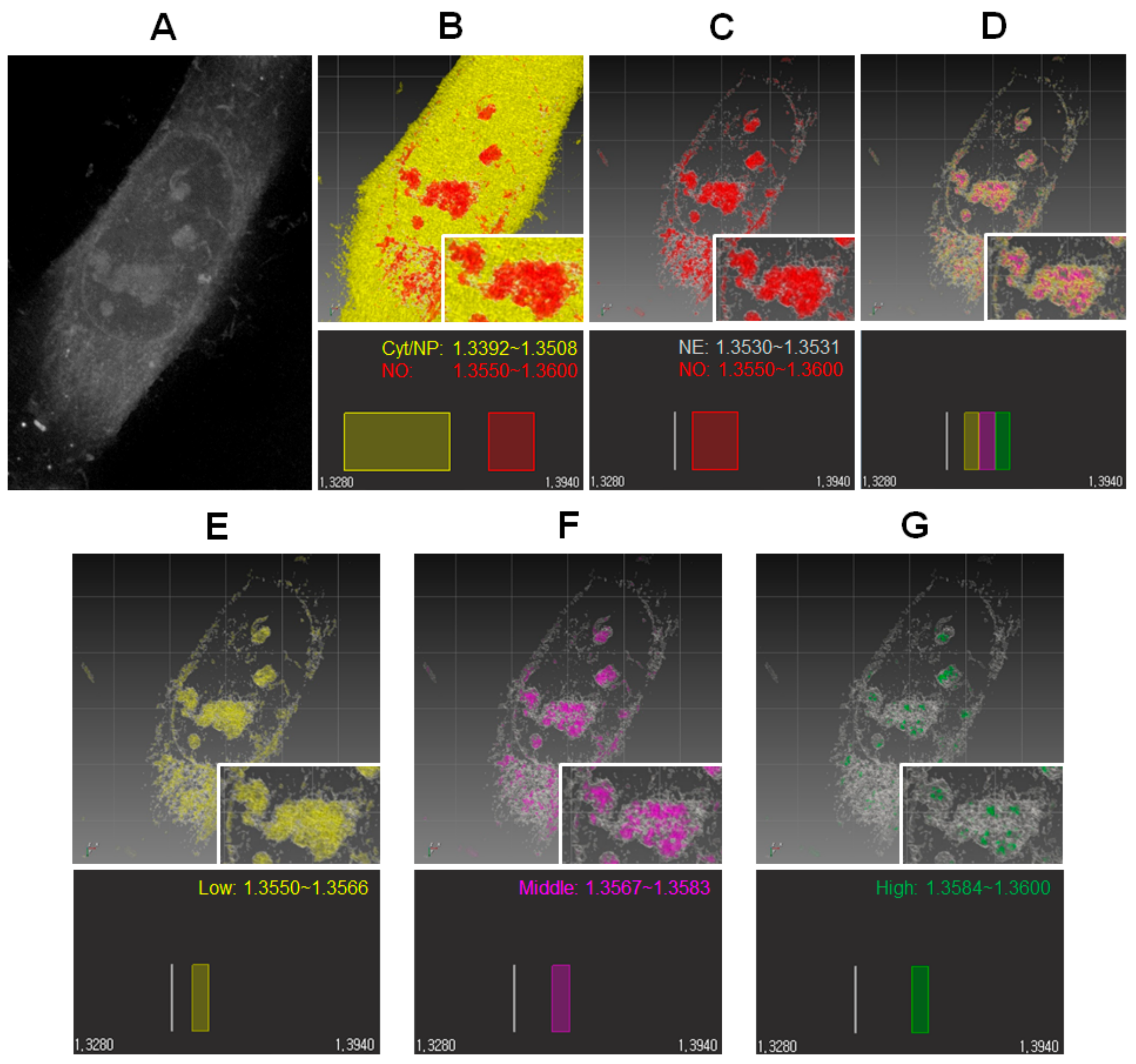 Cells 08 00699 g001